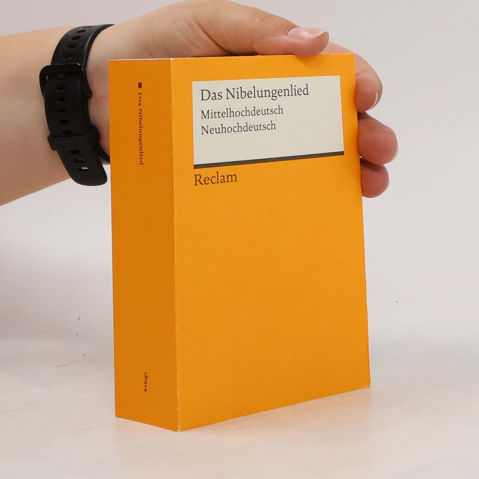 Siegfried Grosse Das Nibelungenlied