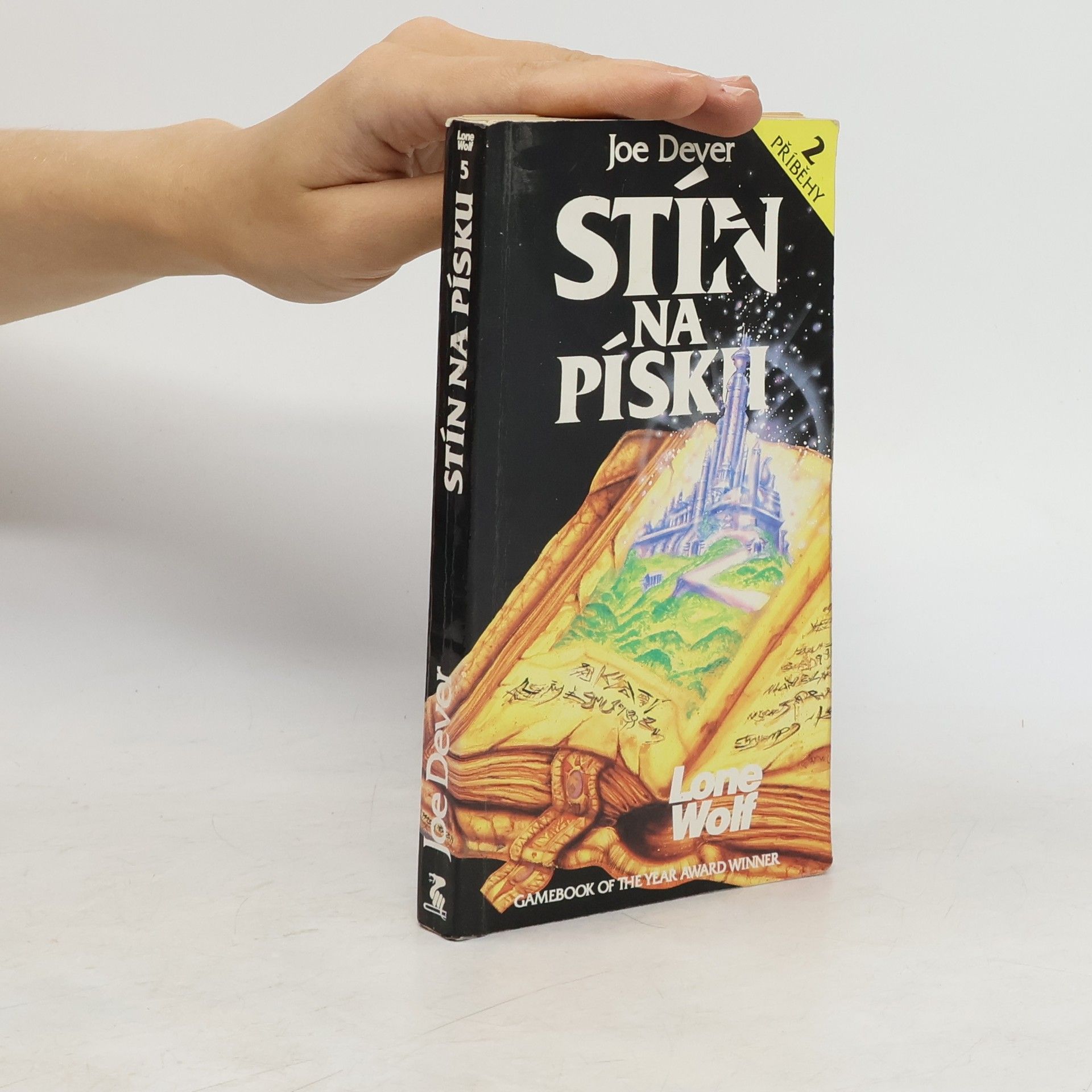 Věra Šedá Stín na písku