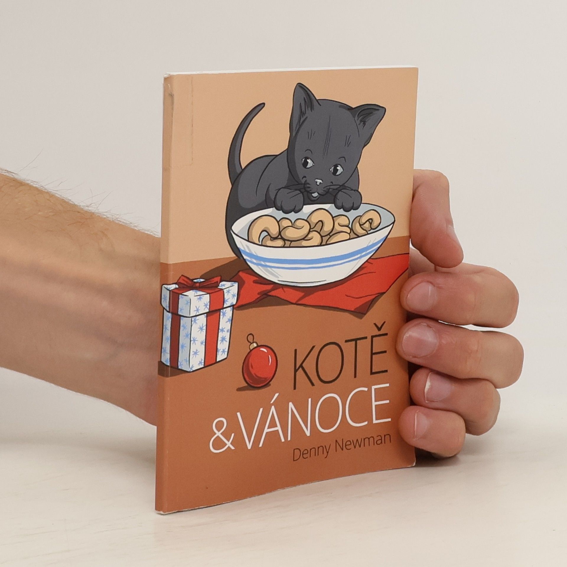 Denny Newman Kotě & Vánoce