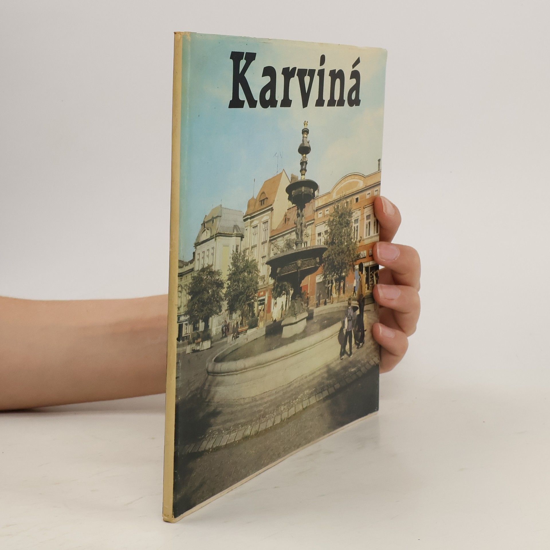 Miroslav Karpeta Karviná