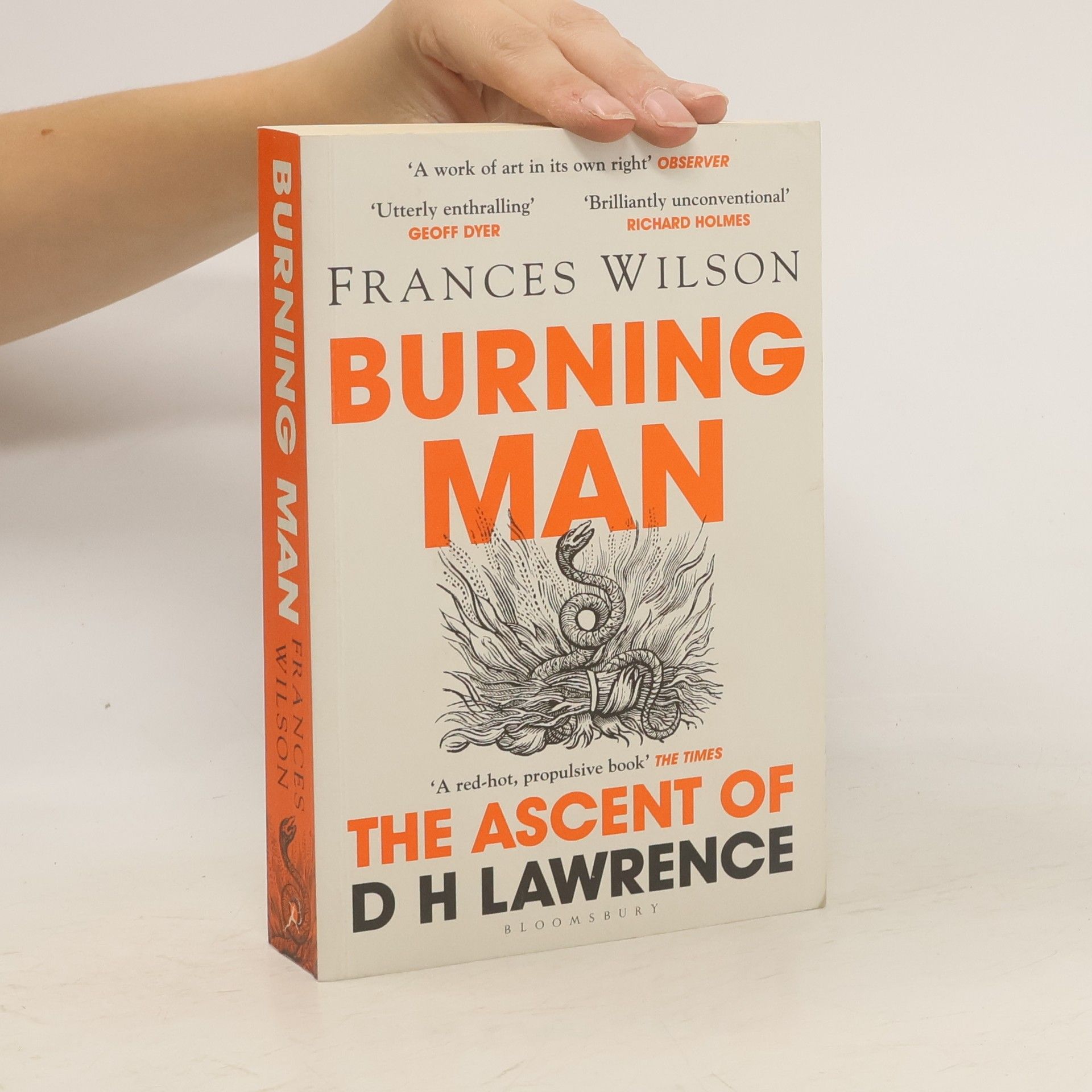 Frances Wilson Burning Man