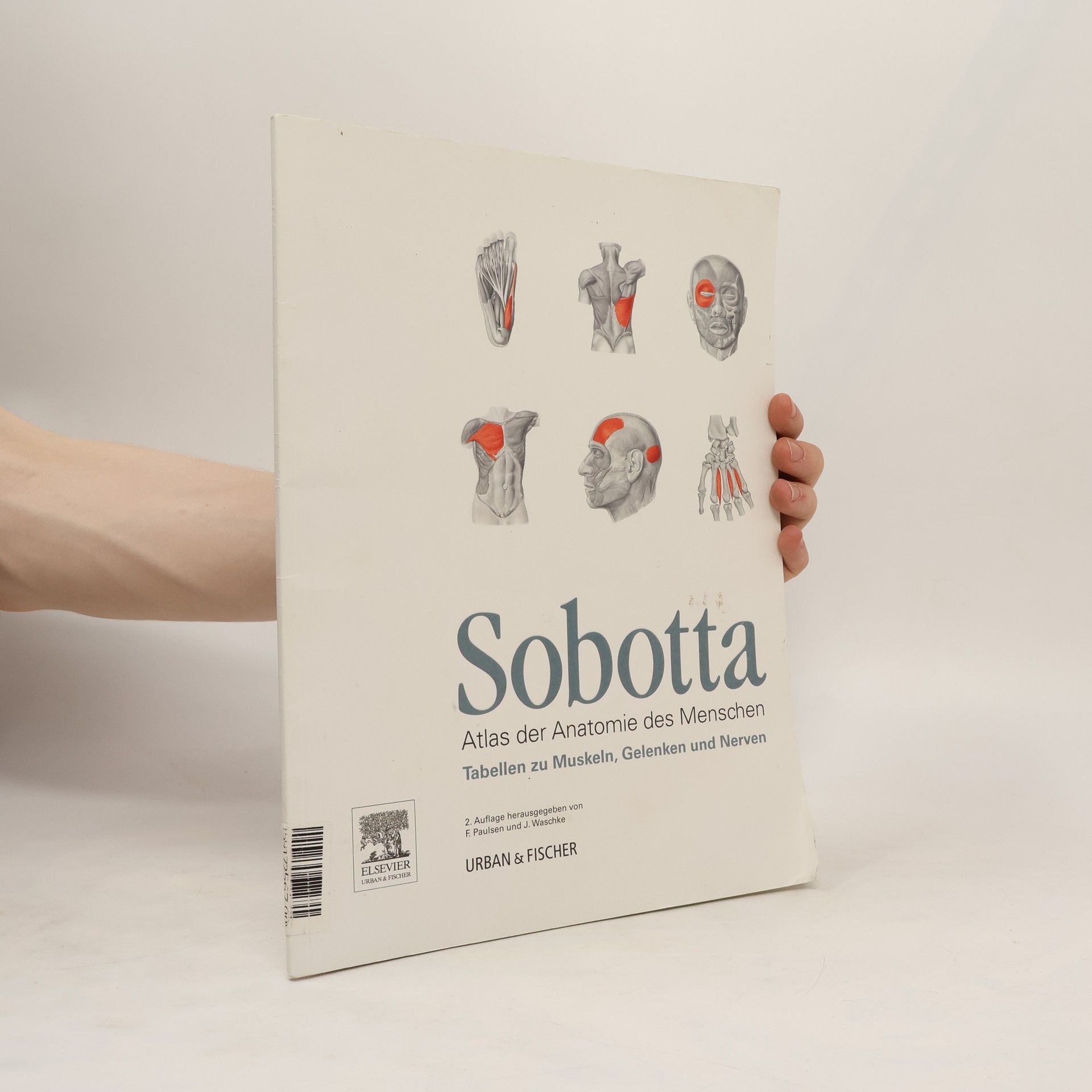 Johannes Sobotta Tabellen zu Muskeln, Gelenken und Nerven