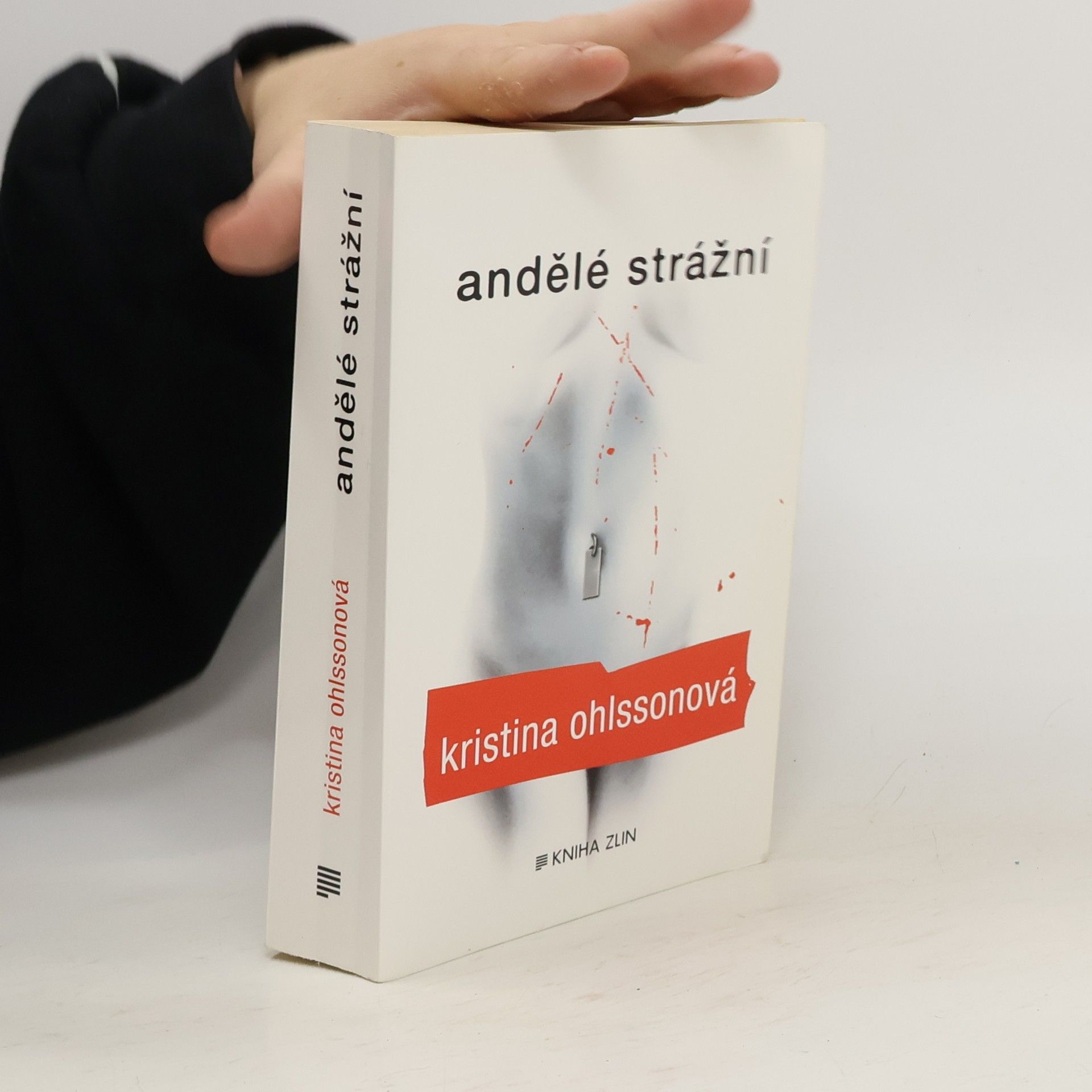 Kristina Ohlsson Andělé strážní