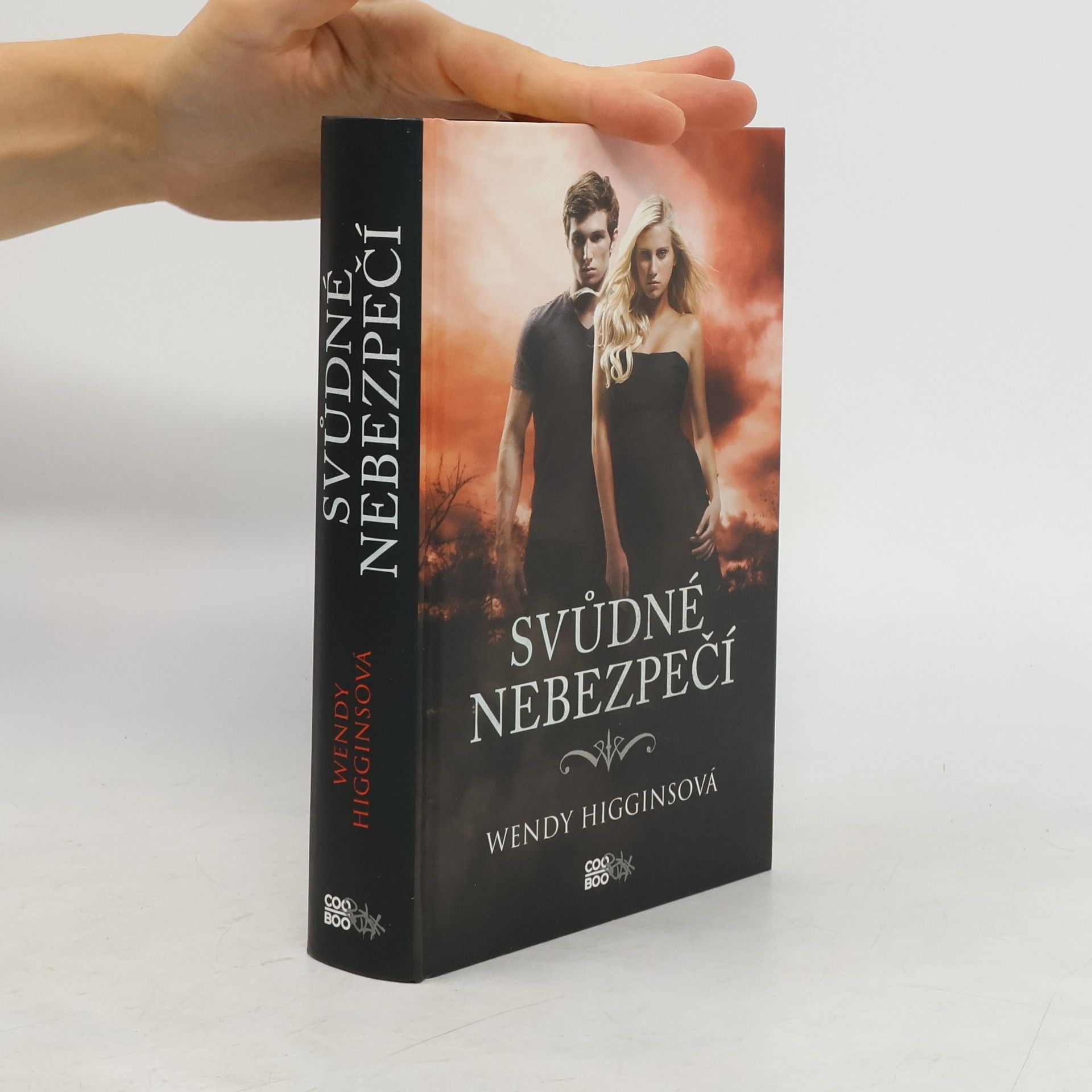 Wendy Higgins Svůdné nebezpečí
