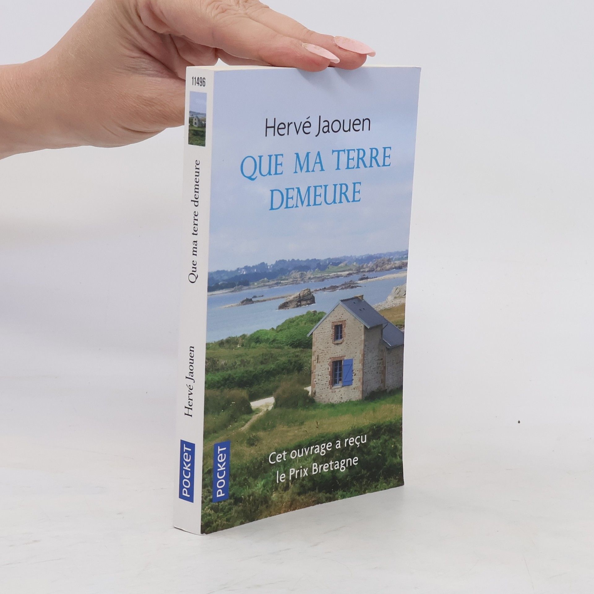 Herve Jaouen Que ma terre demeure