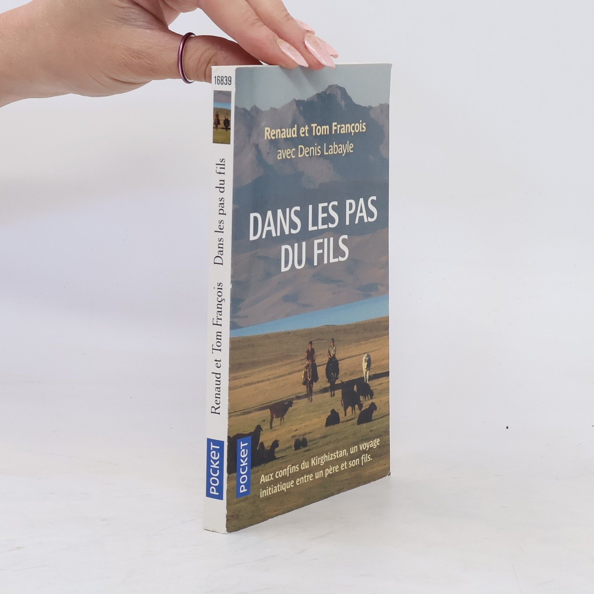 Renaud François Dans les pas du fils