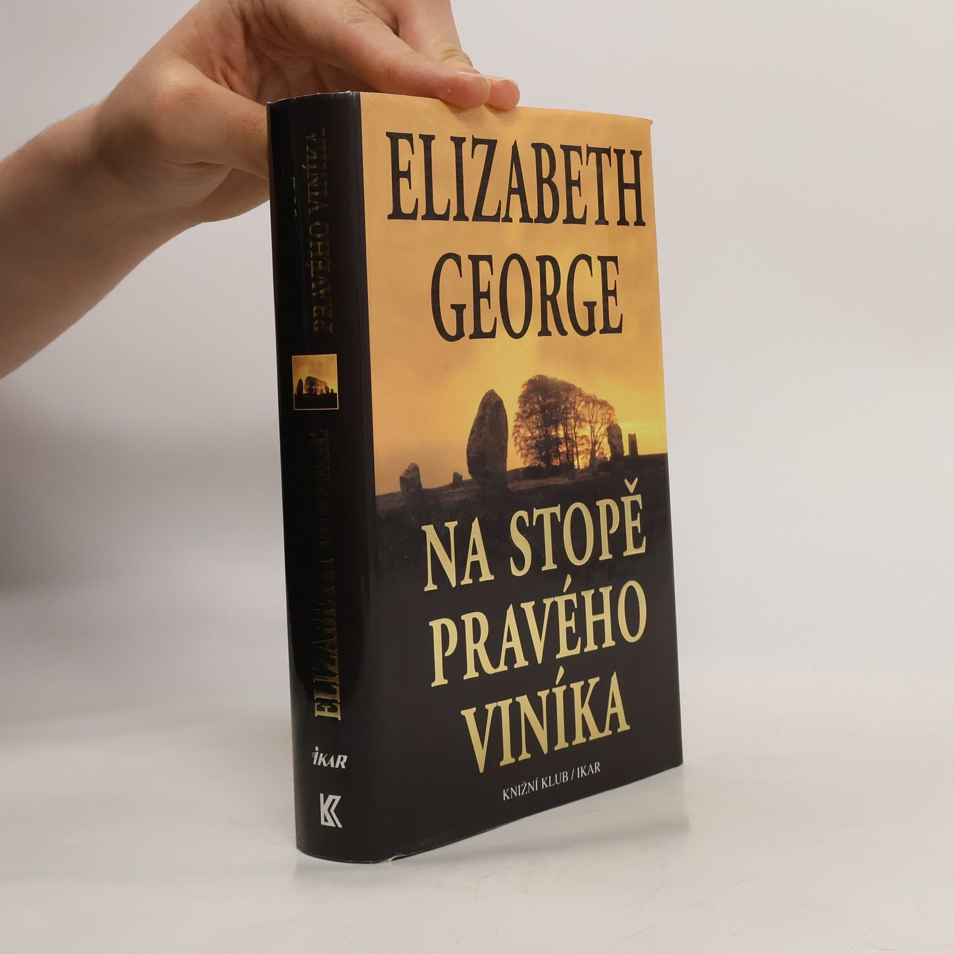 Elizabeth George Na stopě pravého viníka
