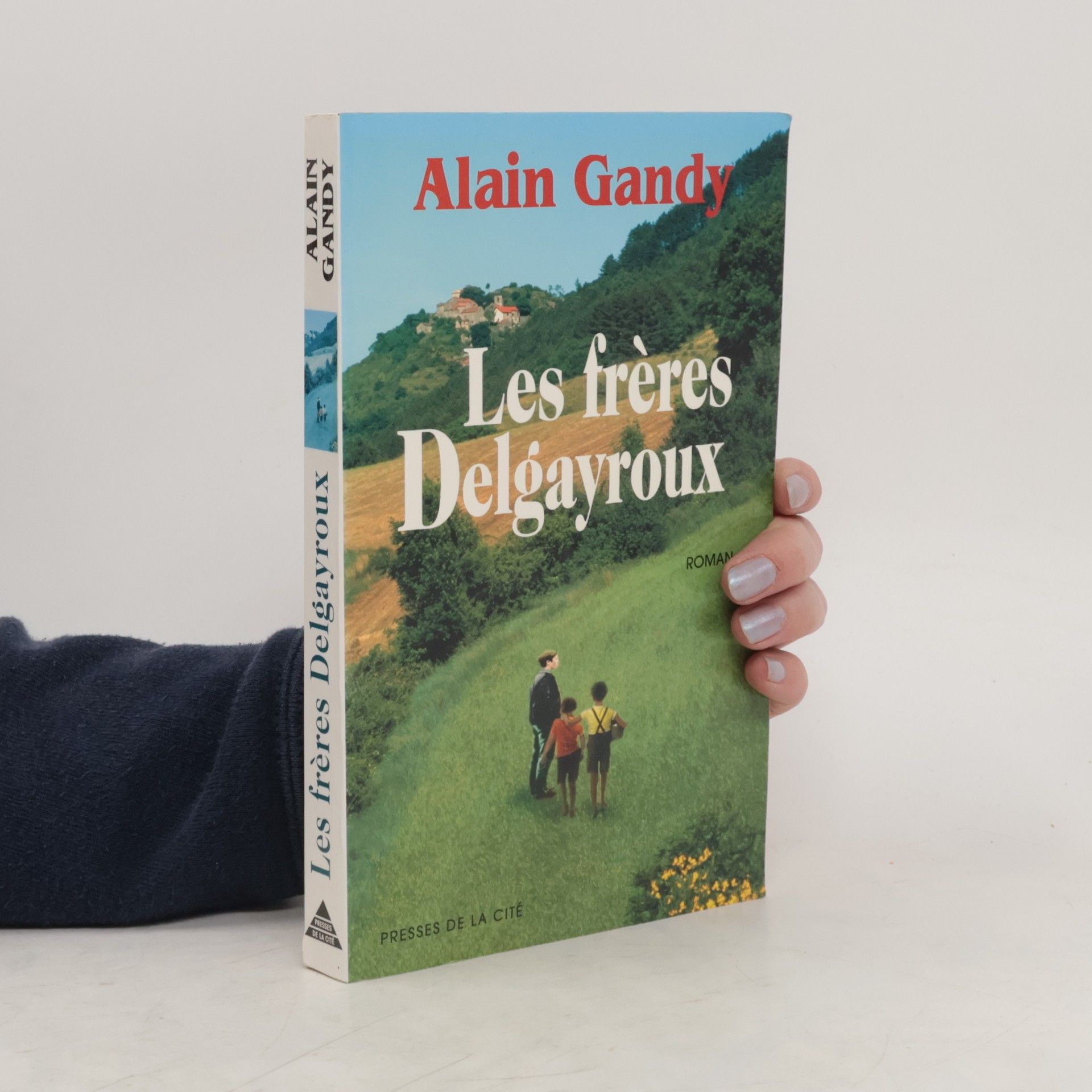 Alain Gandy Les frères Delgayroux