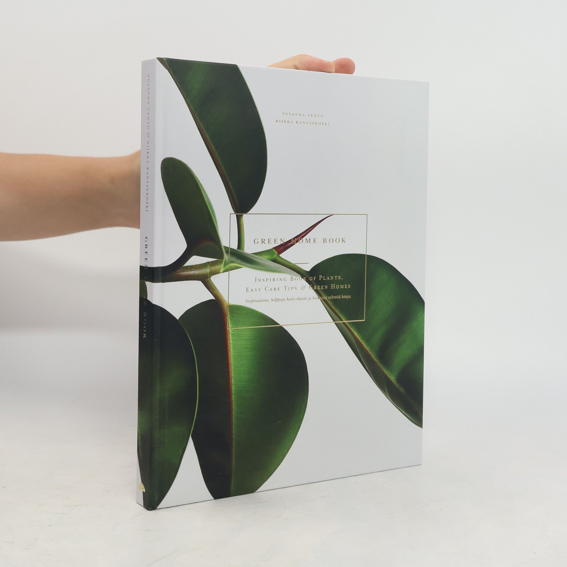 Susanna Vento Green home book