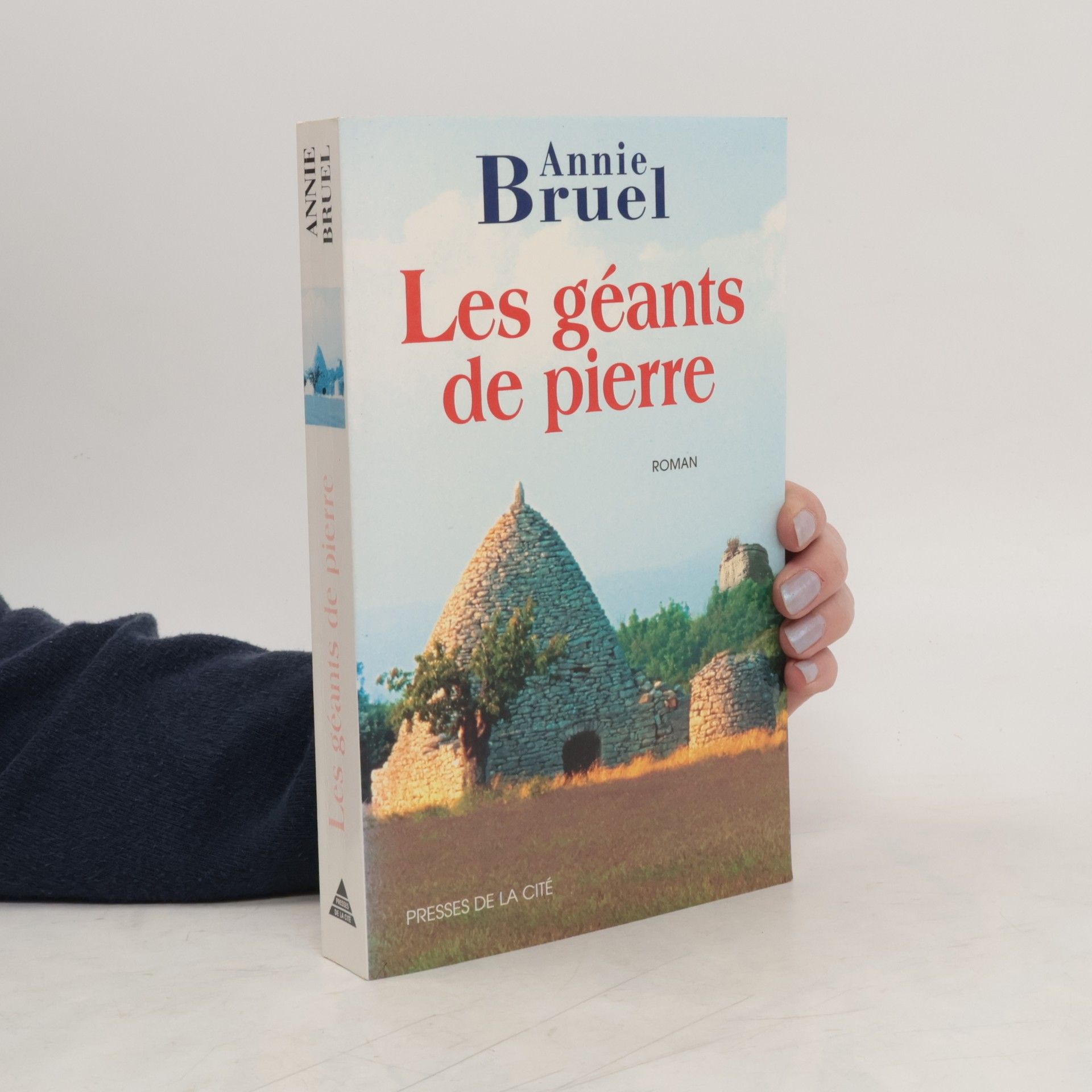 Annie Bruel Les géants de pierre