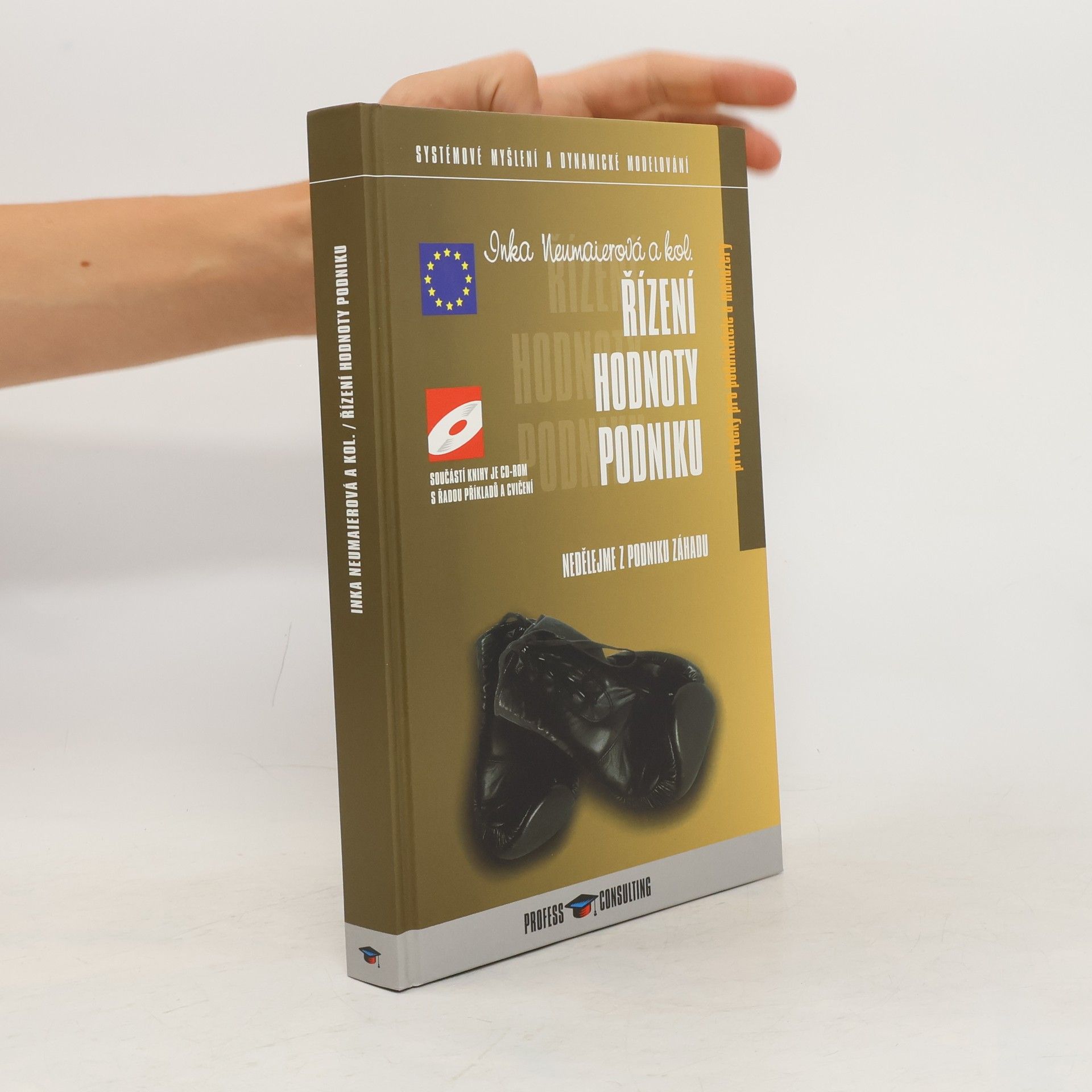 Inka Neumaierová Řízení hodnoty podniku