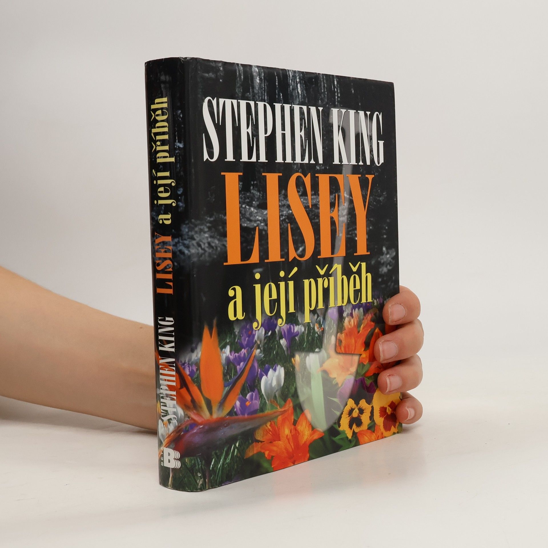 Stephen King Lisey a její příběh
