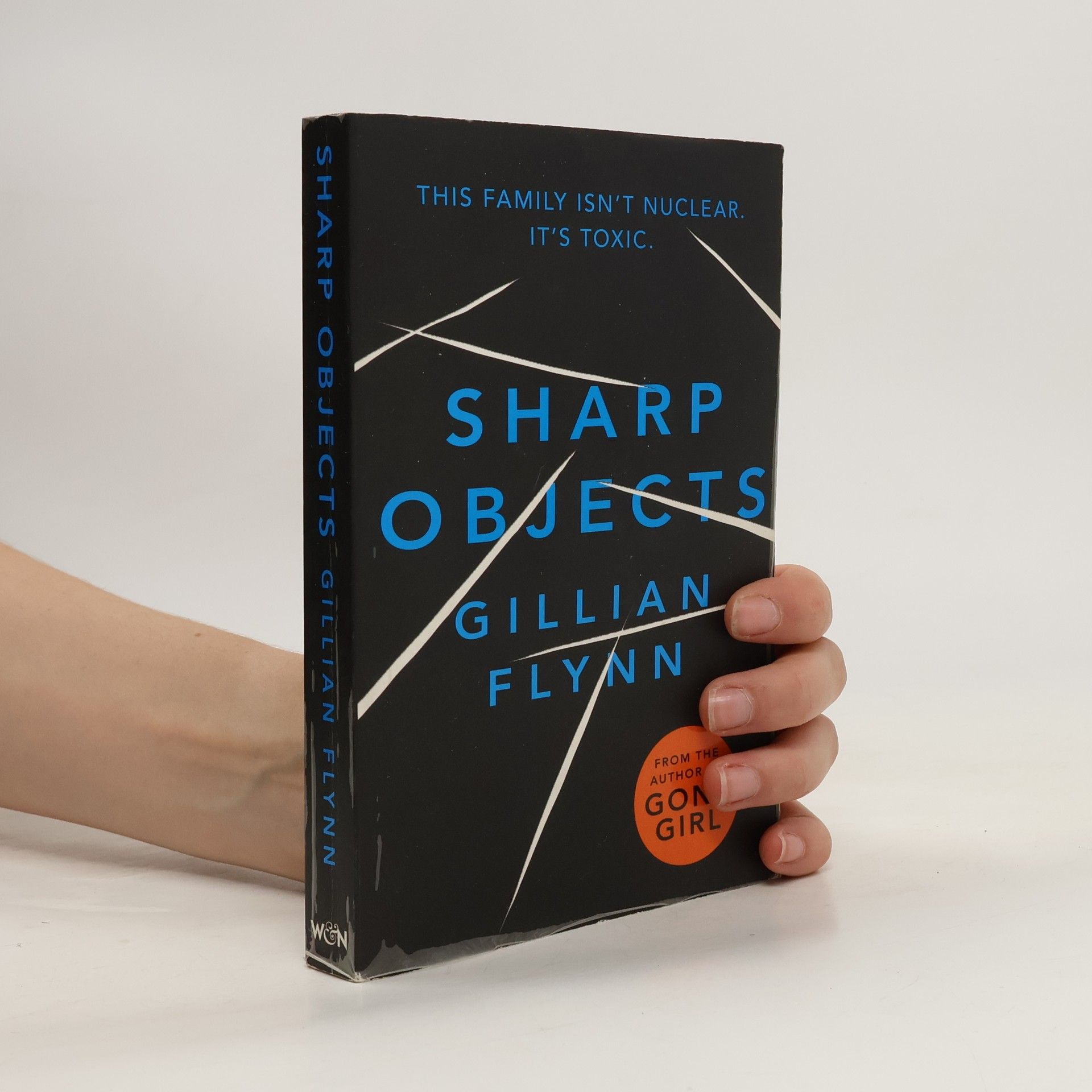 Gillian Flynn Sharp objects