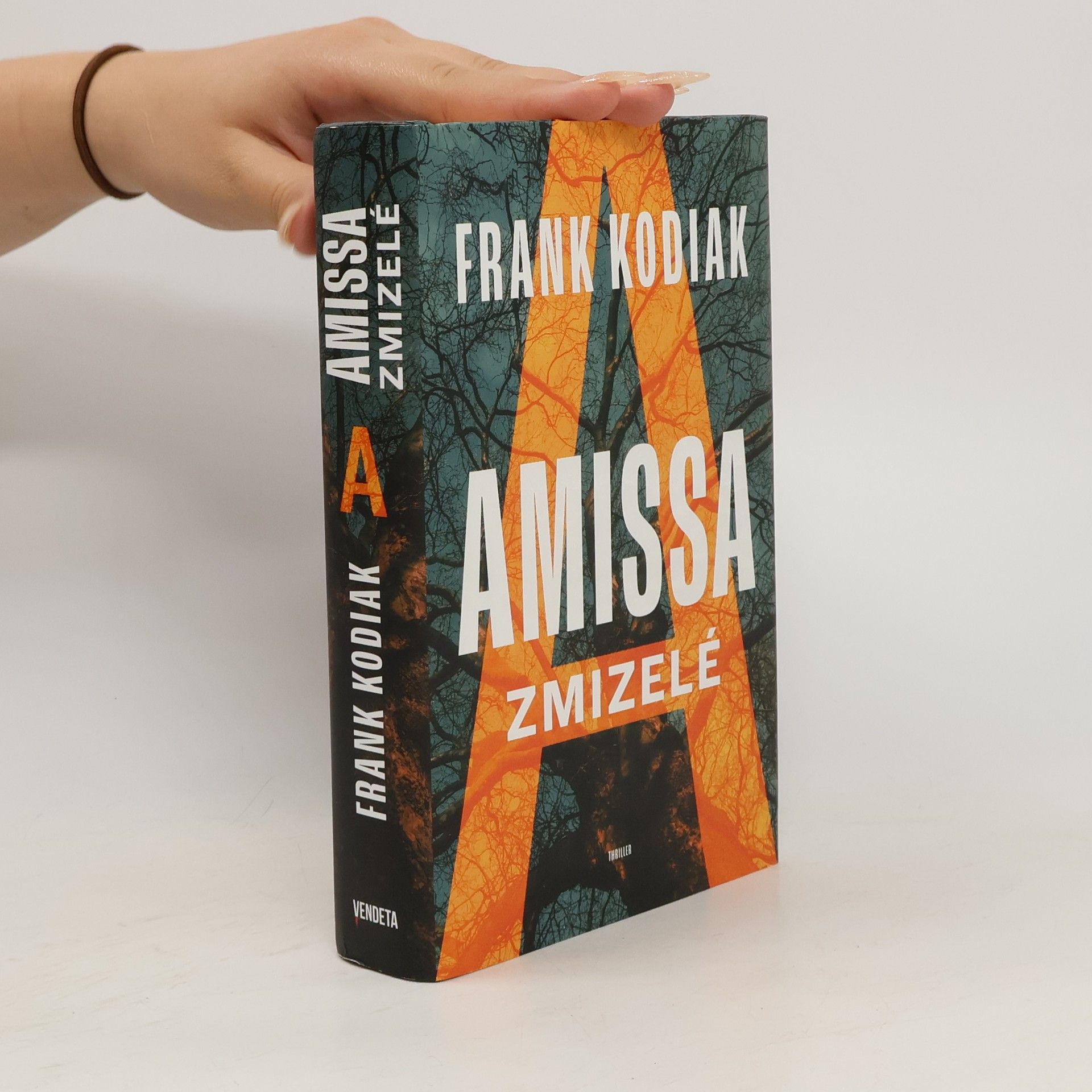Hendrik Winter Amissa. Zmizelé