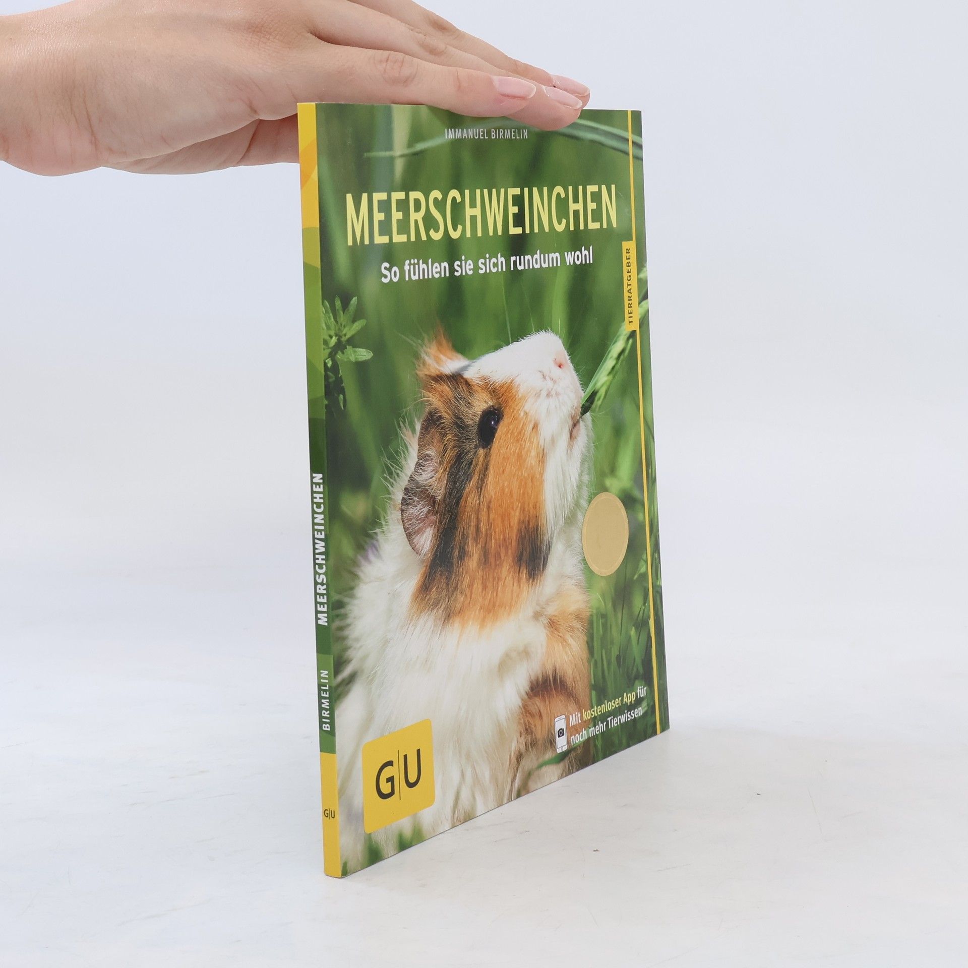 Immanuel Birmelin Meerschweinchen