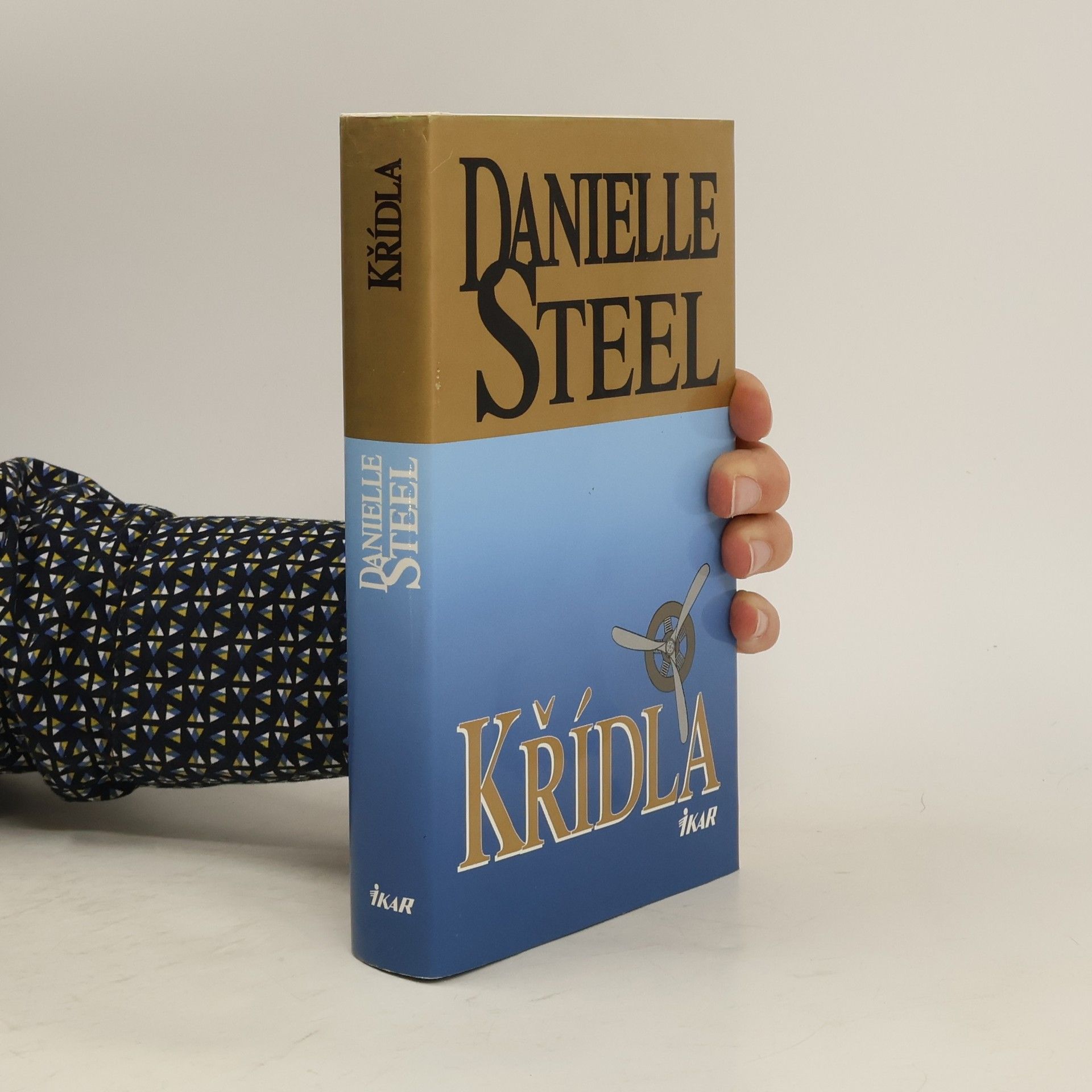 Danielle Steel Křídla