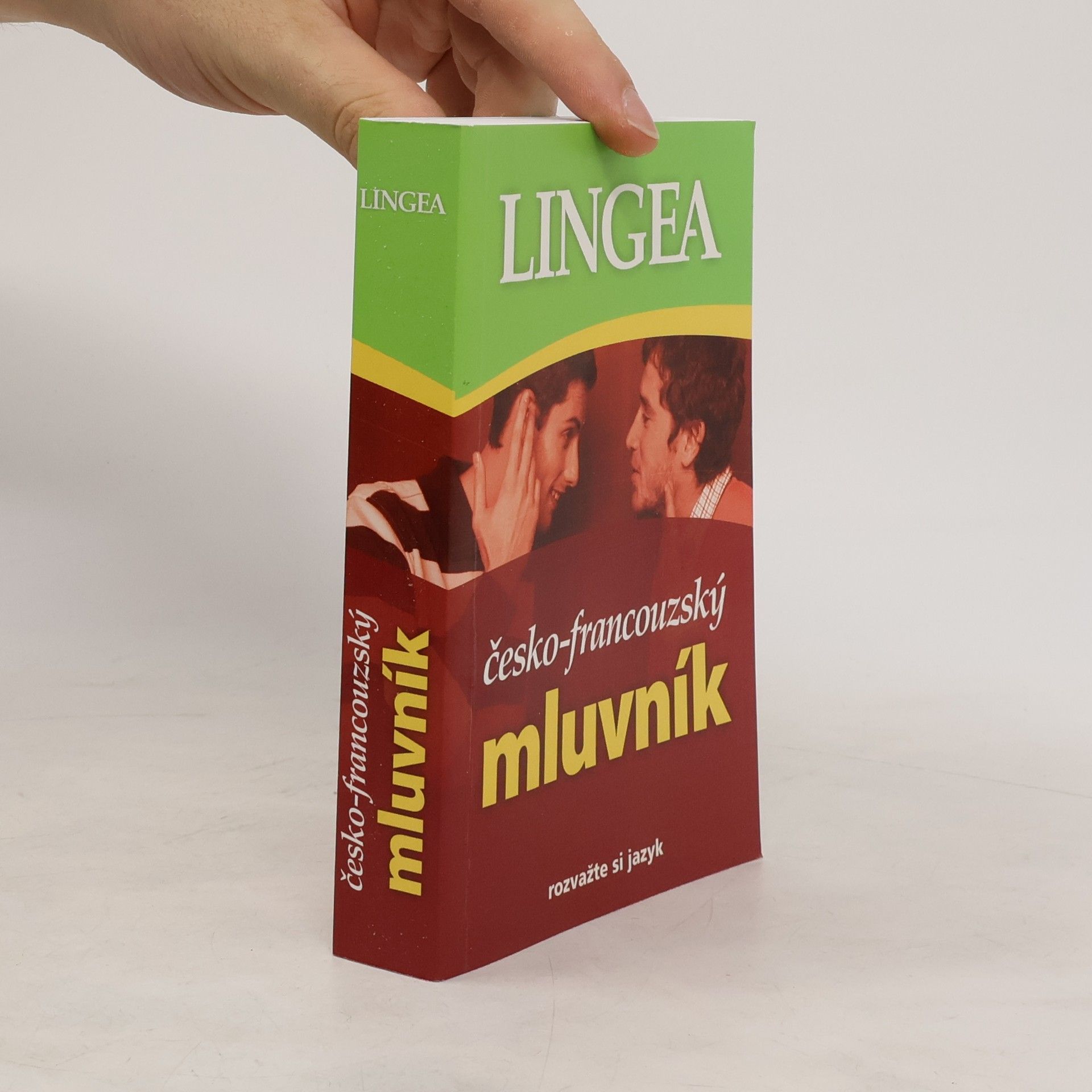 Autorenkollektiv Česko-francouzský mluvník