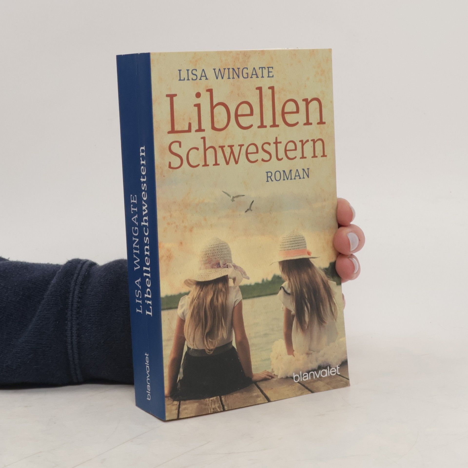 Lisa Wingate Libellenschwestern
