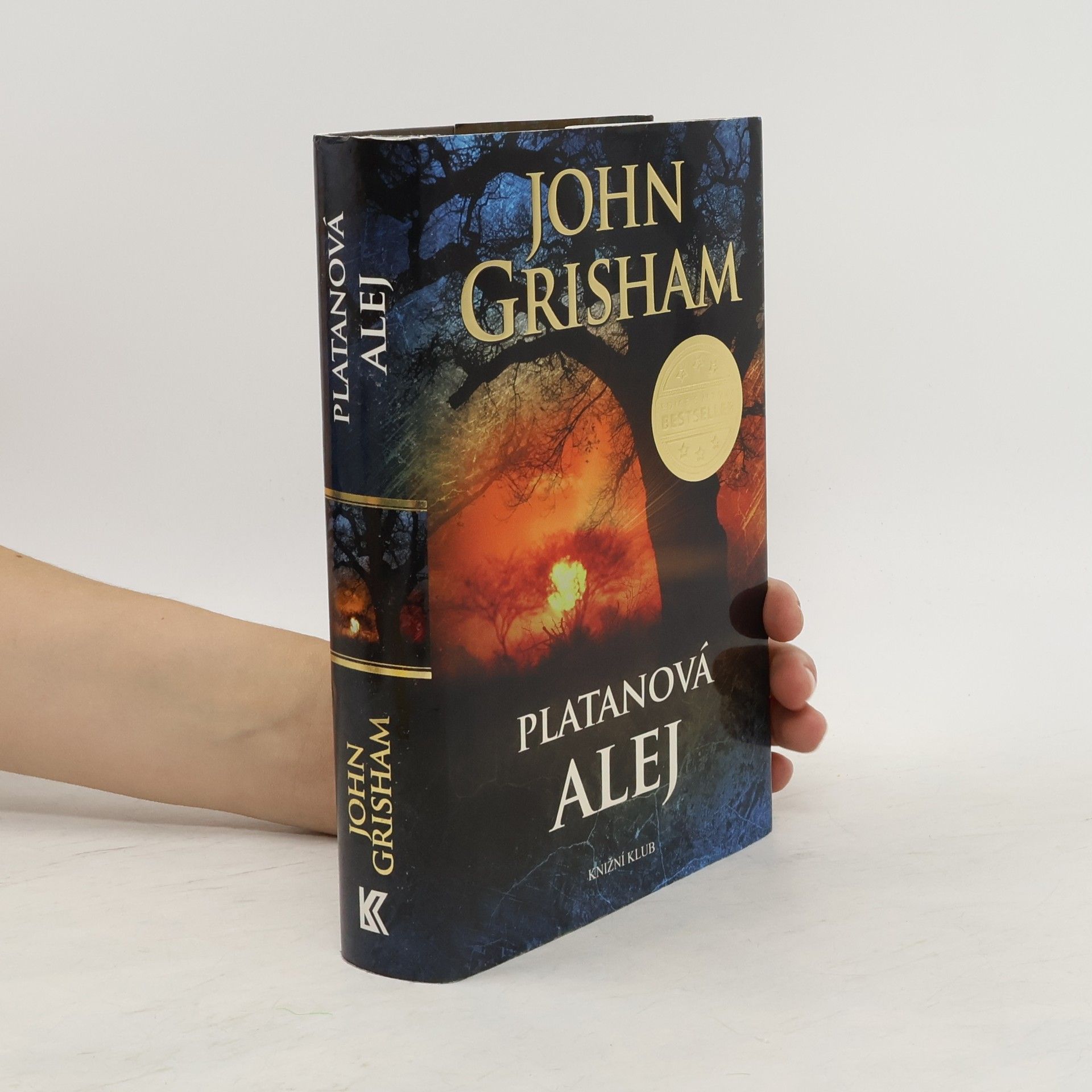 John Grisham Platanová alej