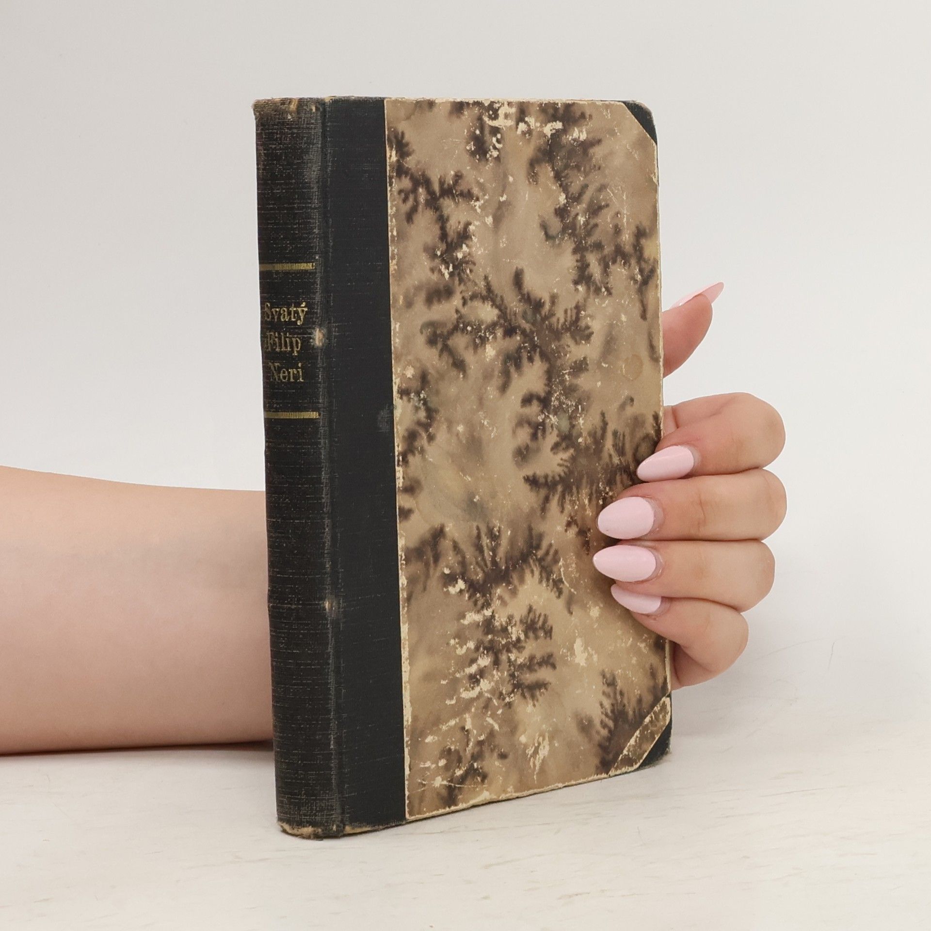 Collectif d'auteurs Svatý Filip Neri