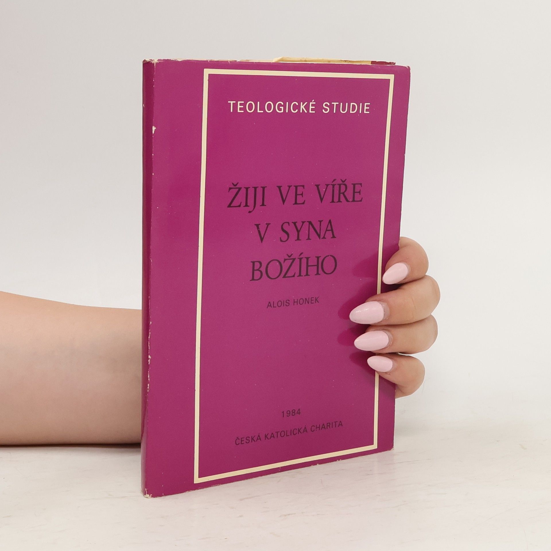Alois Honek Žiji ve víře v Syna Božího