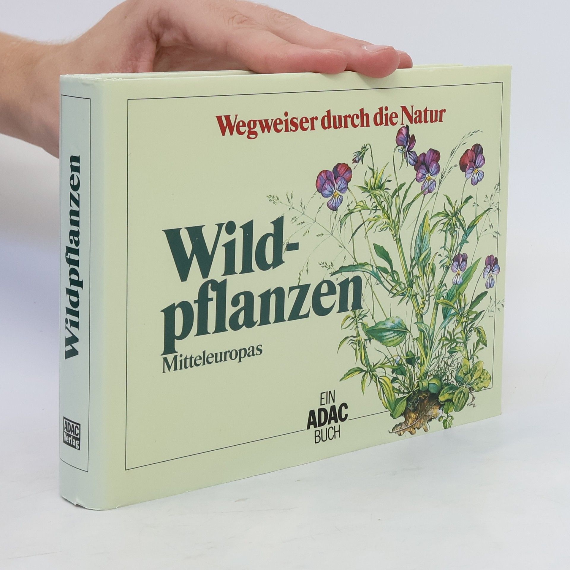 Oskar Sebald Wildpflanzen Mitteleuropas
