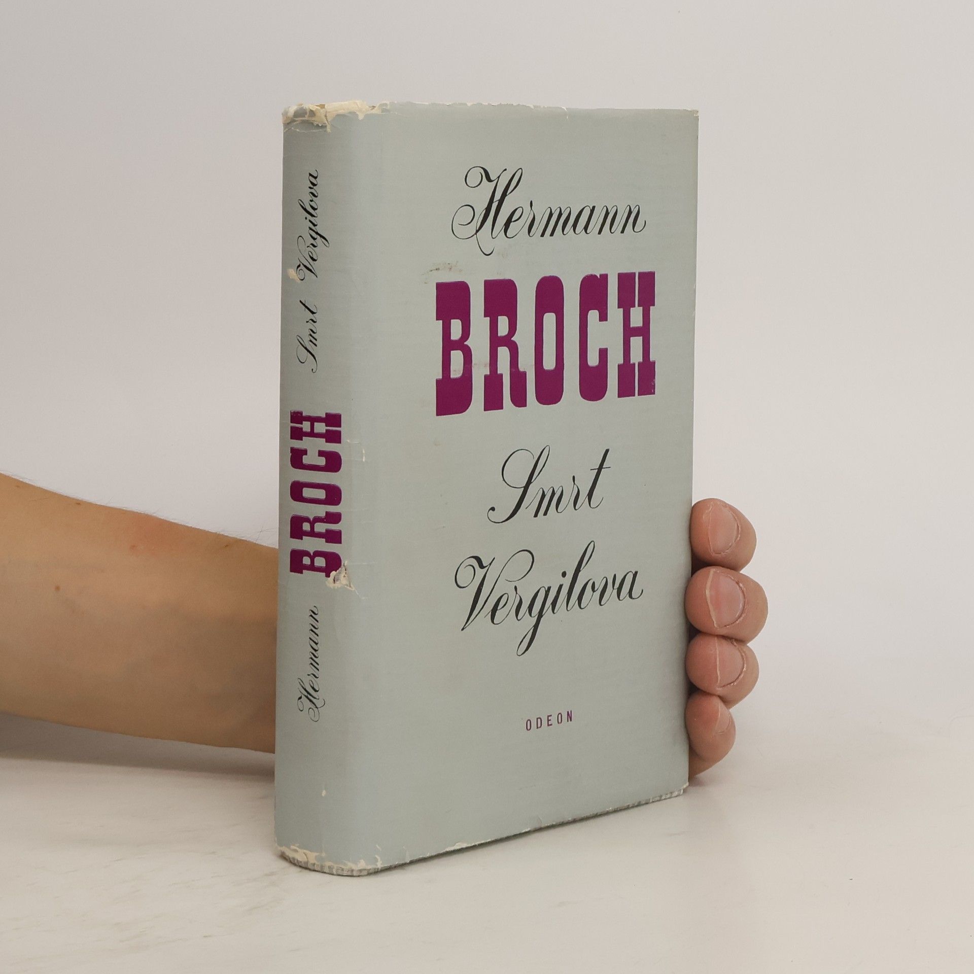 Hermann Broch Smrt Vergilova