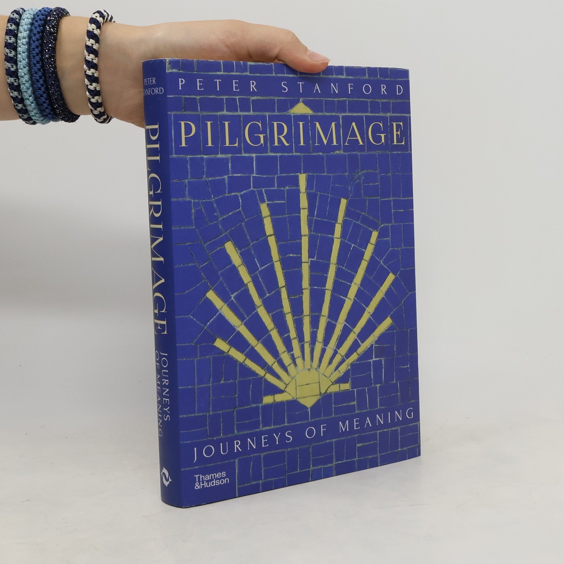 Peter Stanford Pilgrimage : journeys of meaning