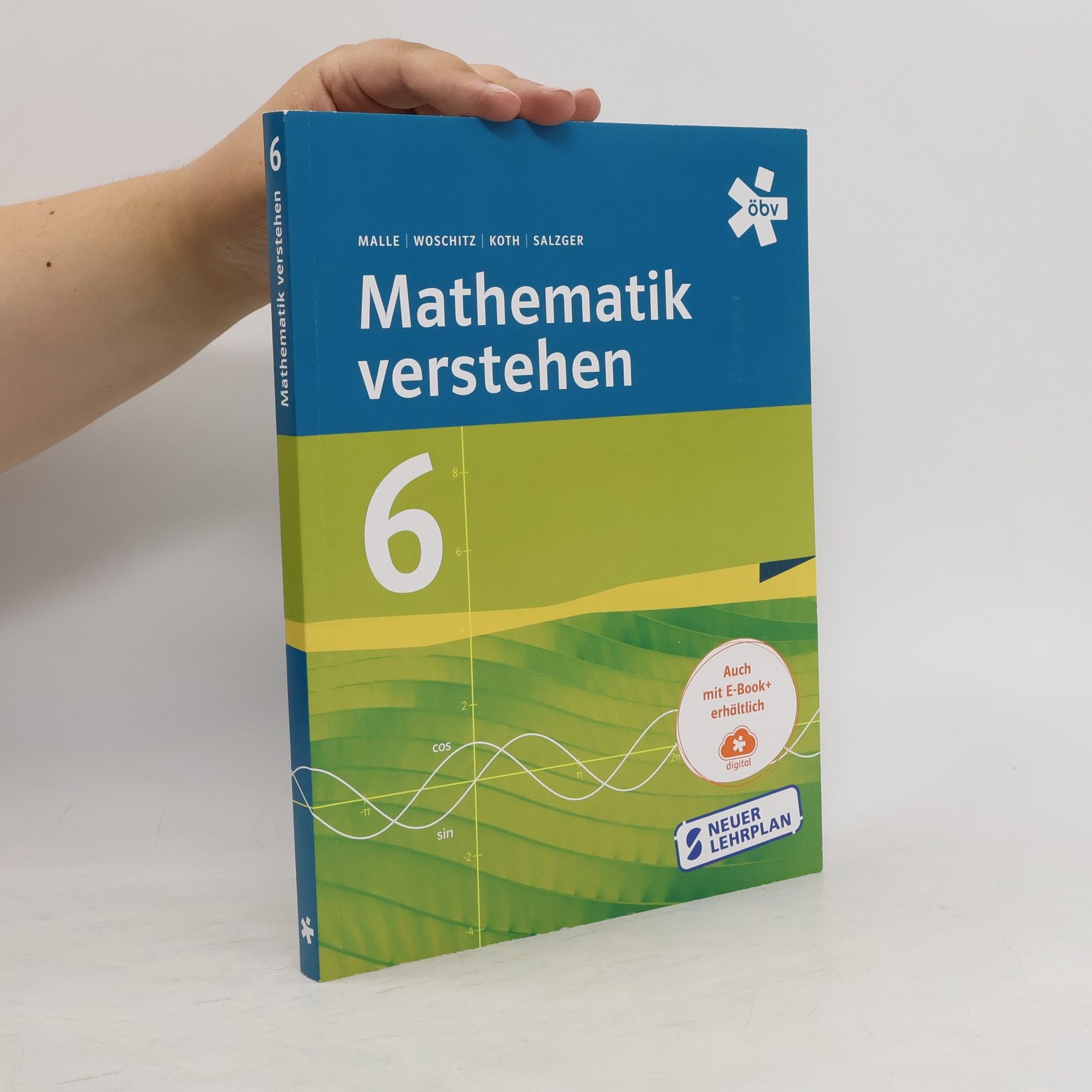 kolektiv Mathematik verstehen 6