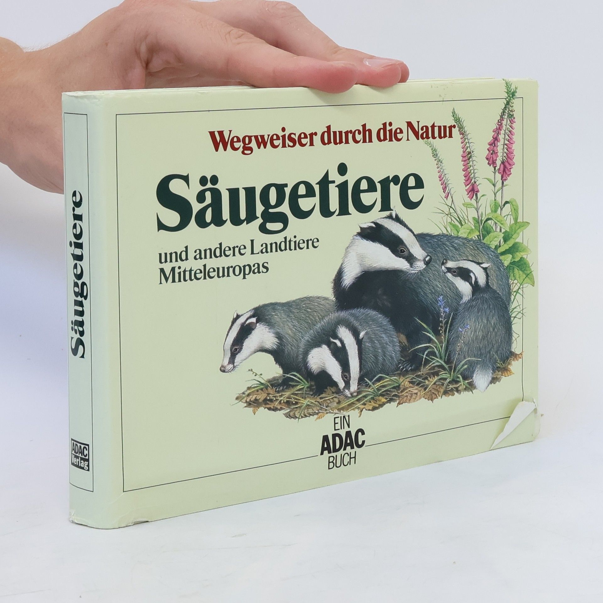 Friedrich Dieterlen Säugetiere und andere Landtiere Mitteleuropas