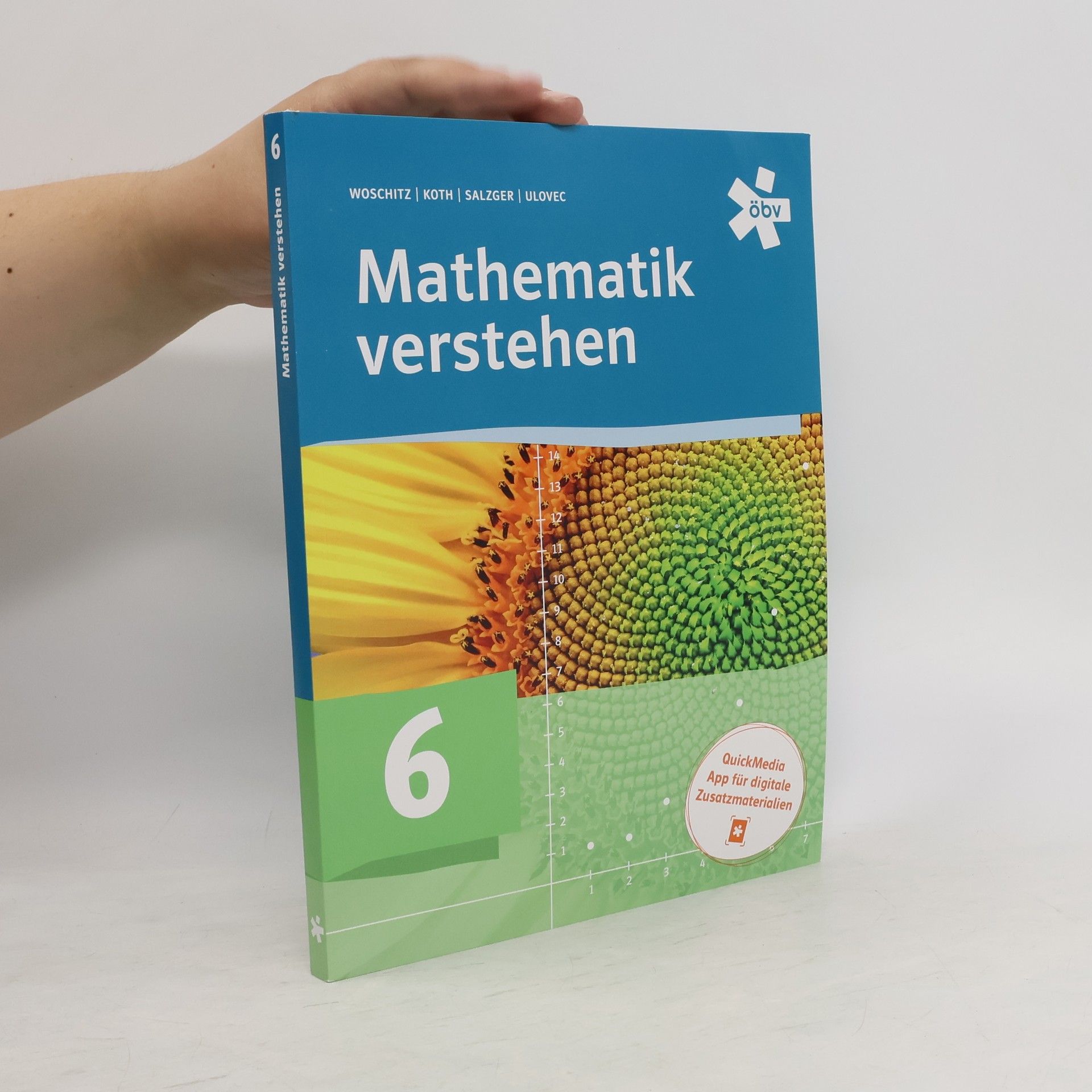 Maria Koth Mathematik verstehen 6