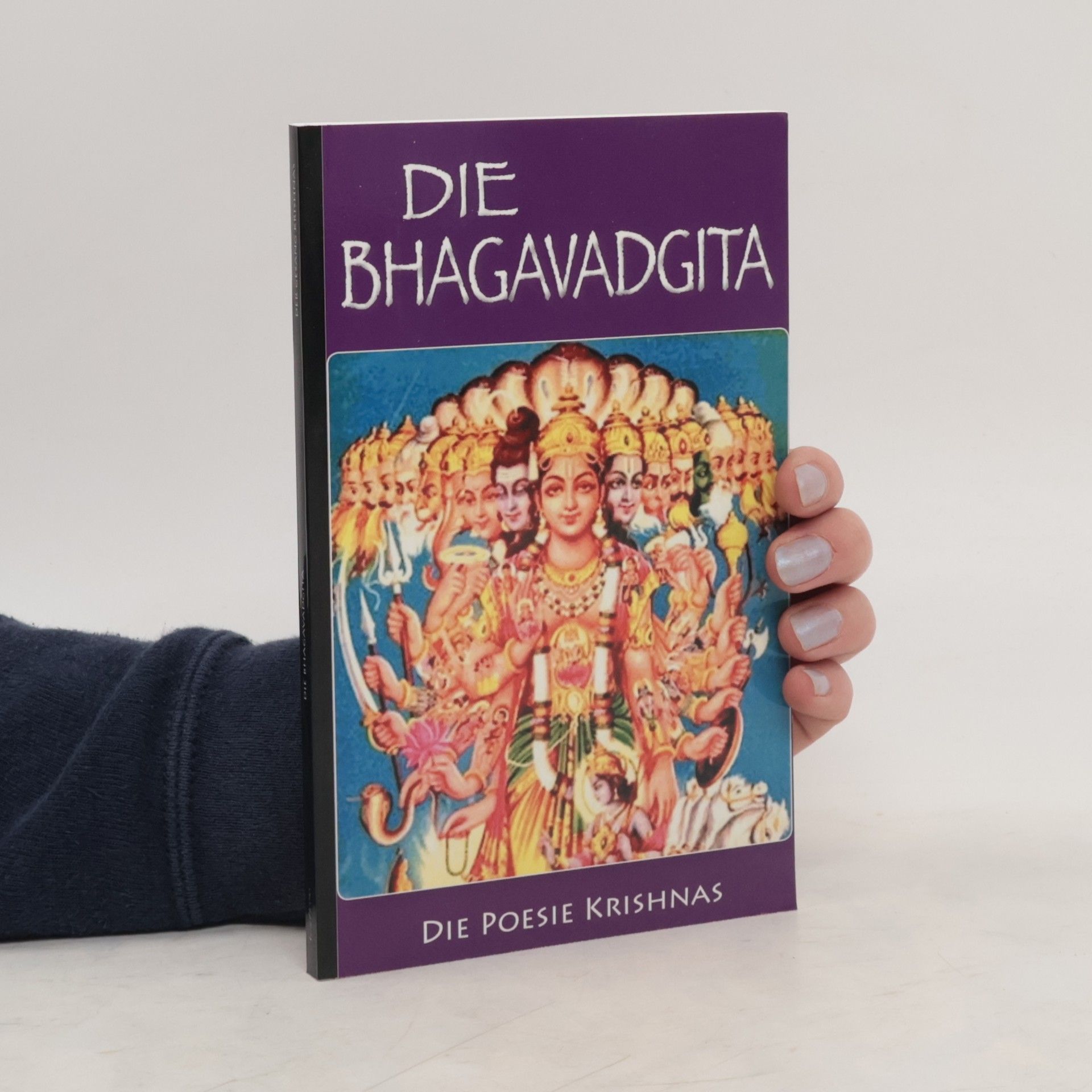 Krishna Das Die Bhagavadgita