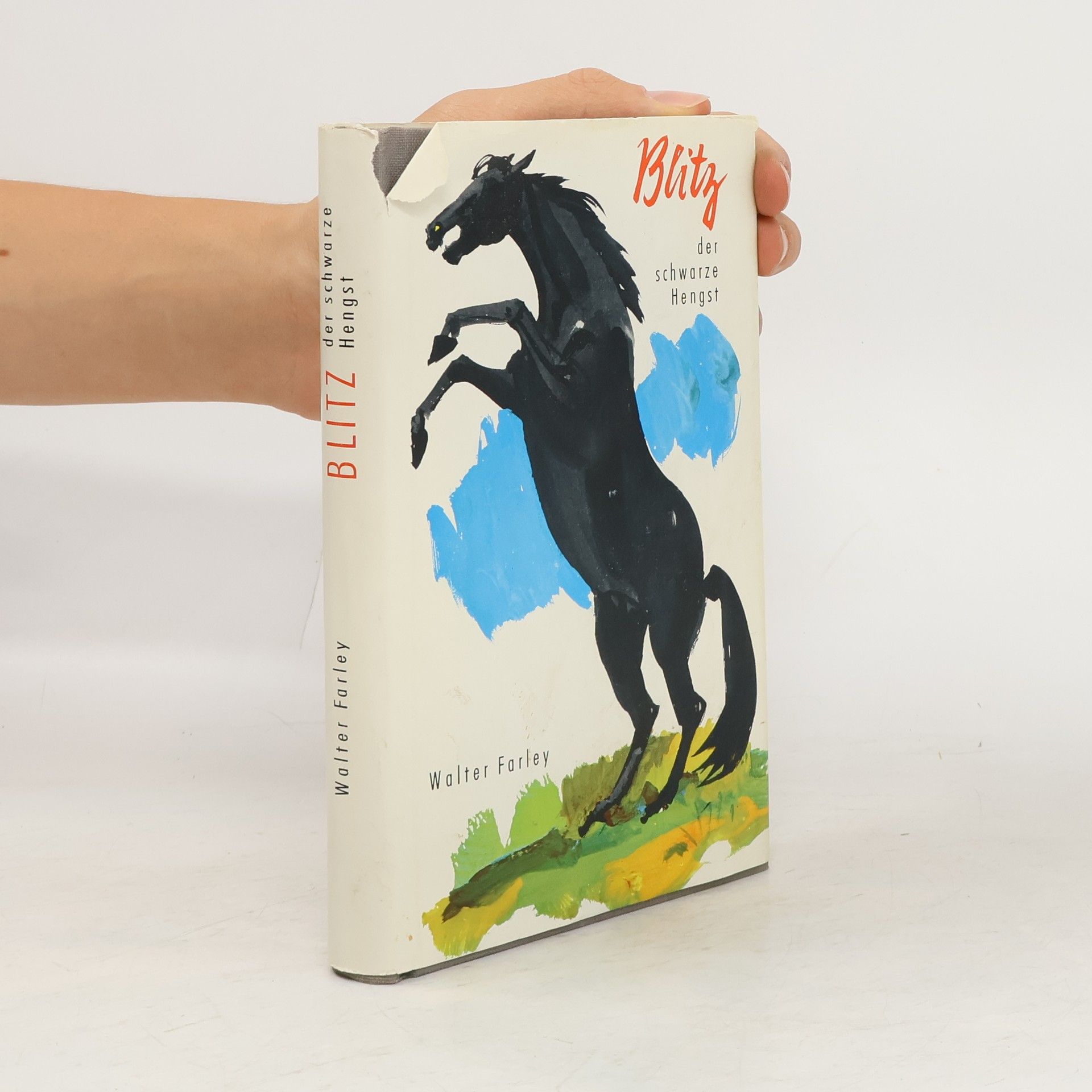 Walter Farley Blitz der schwarze Hengst
