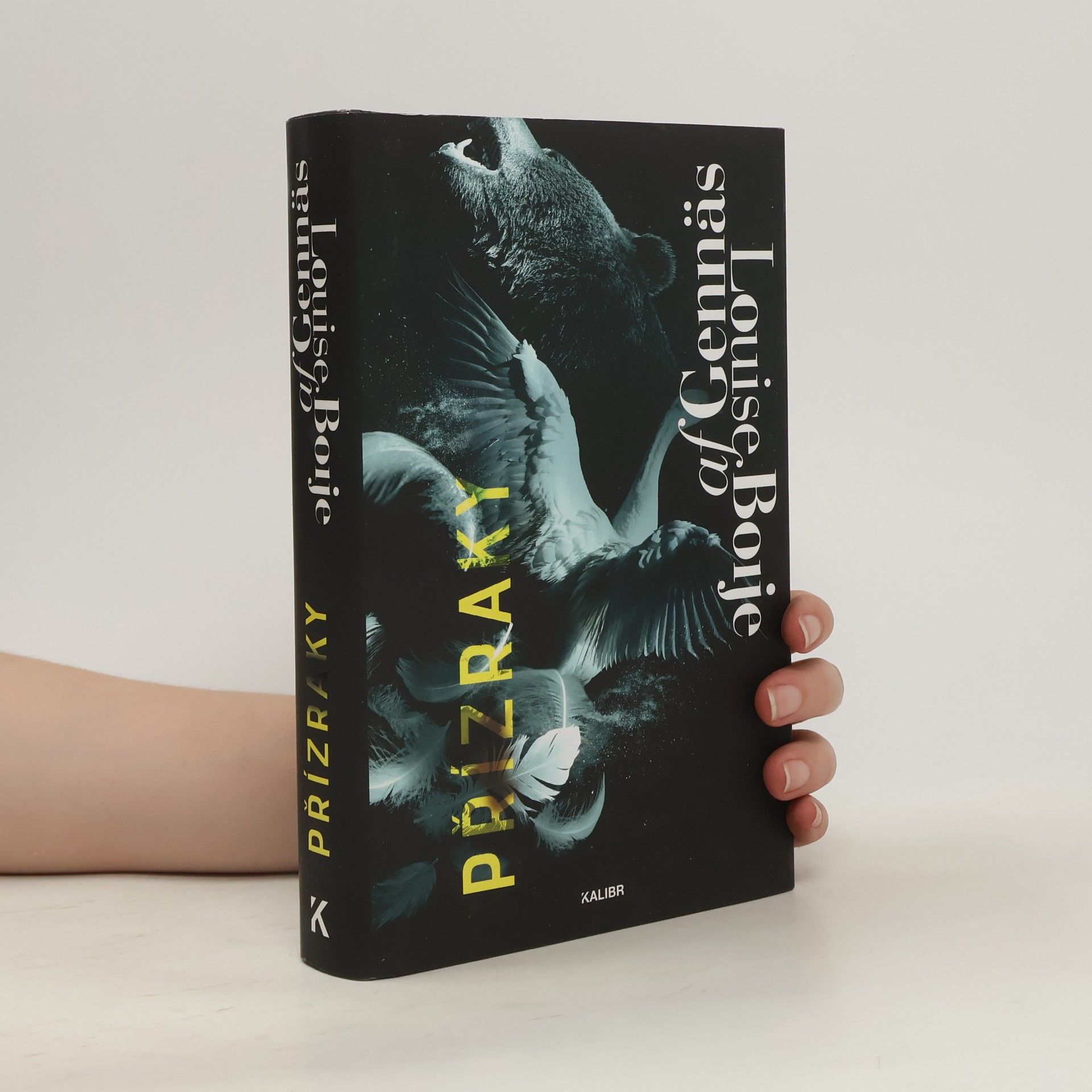 Louise Boije af Gennäs Přízraky