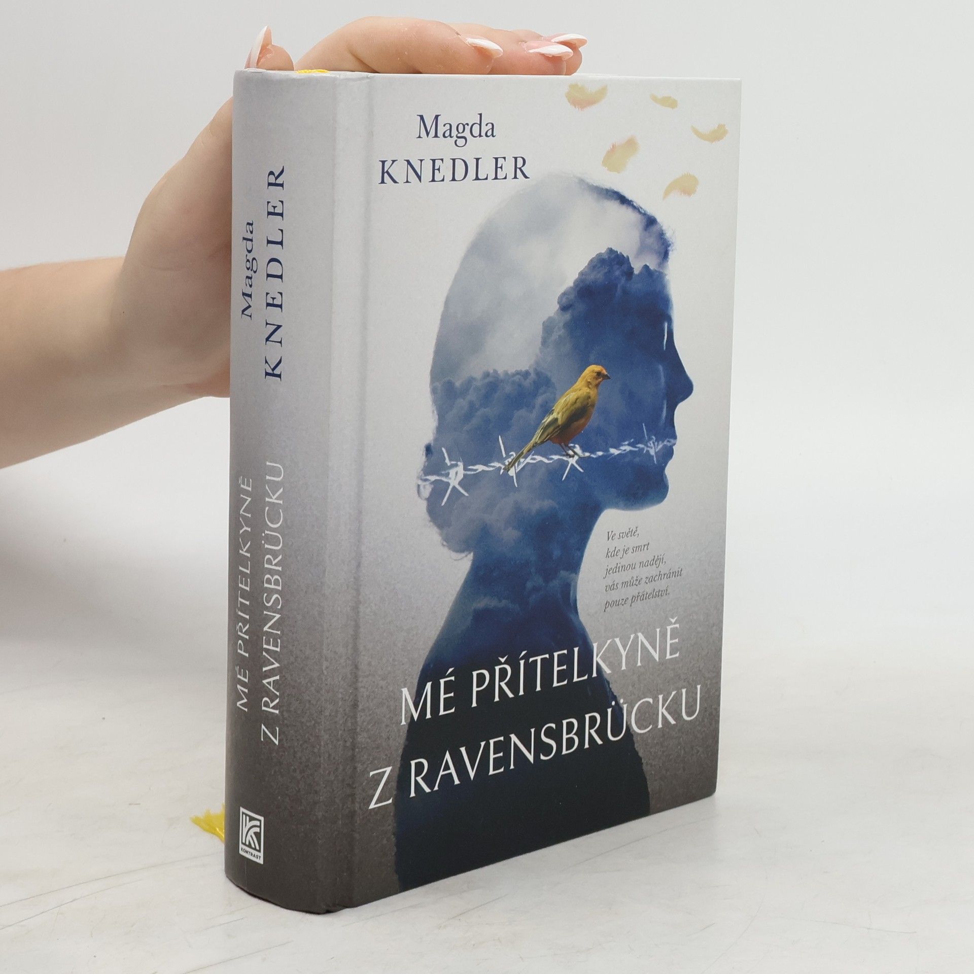Magdalena Knedler Mé přítelkyně z Ravensbrücku