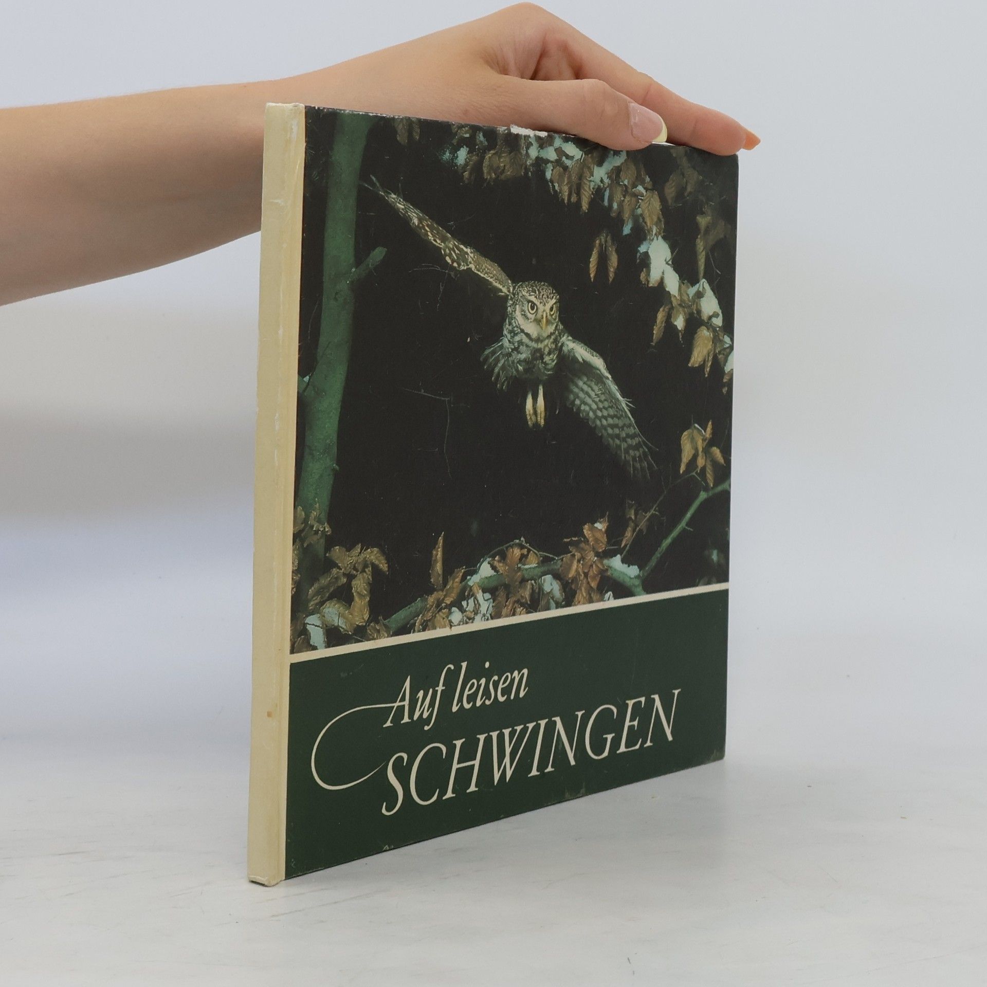 Renate Schönn Auf leisen Schwingen