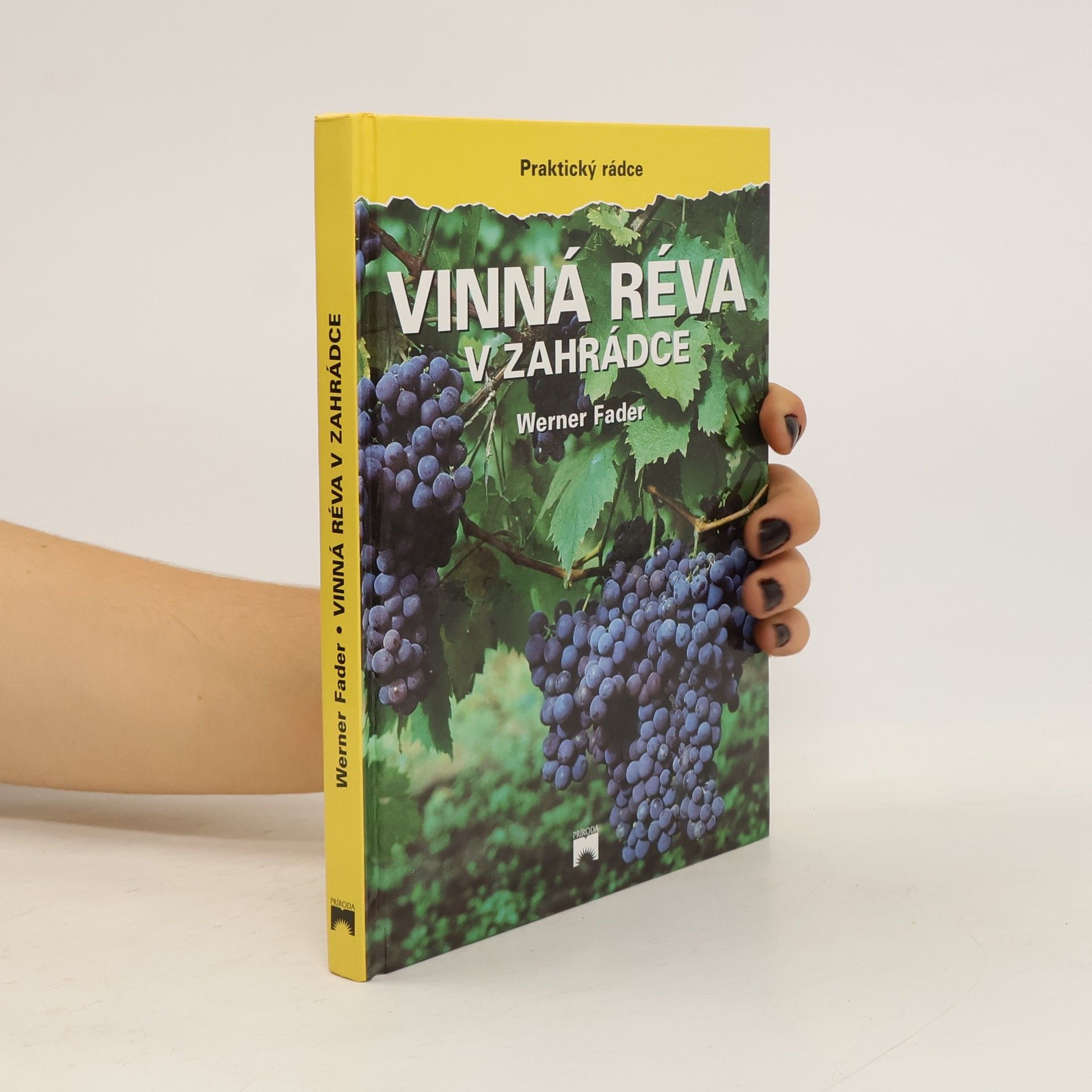 Werner Fader Vinná réva v zahrádce