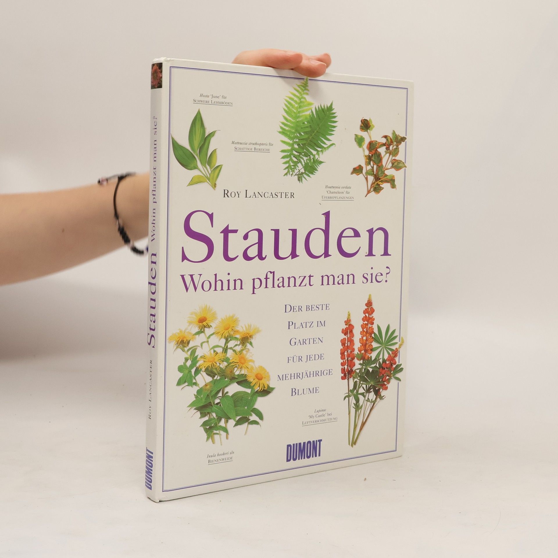 Roy Lancaster Stauden: Wohin pflanzt man sie?