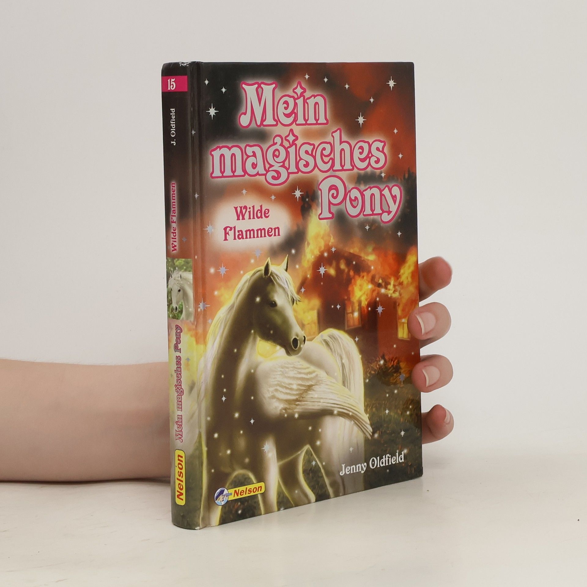 Jenny Oldfield Mein magisches Pony 15