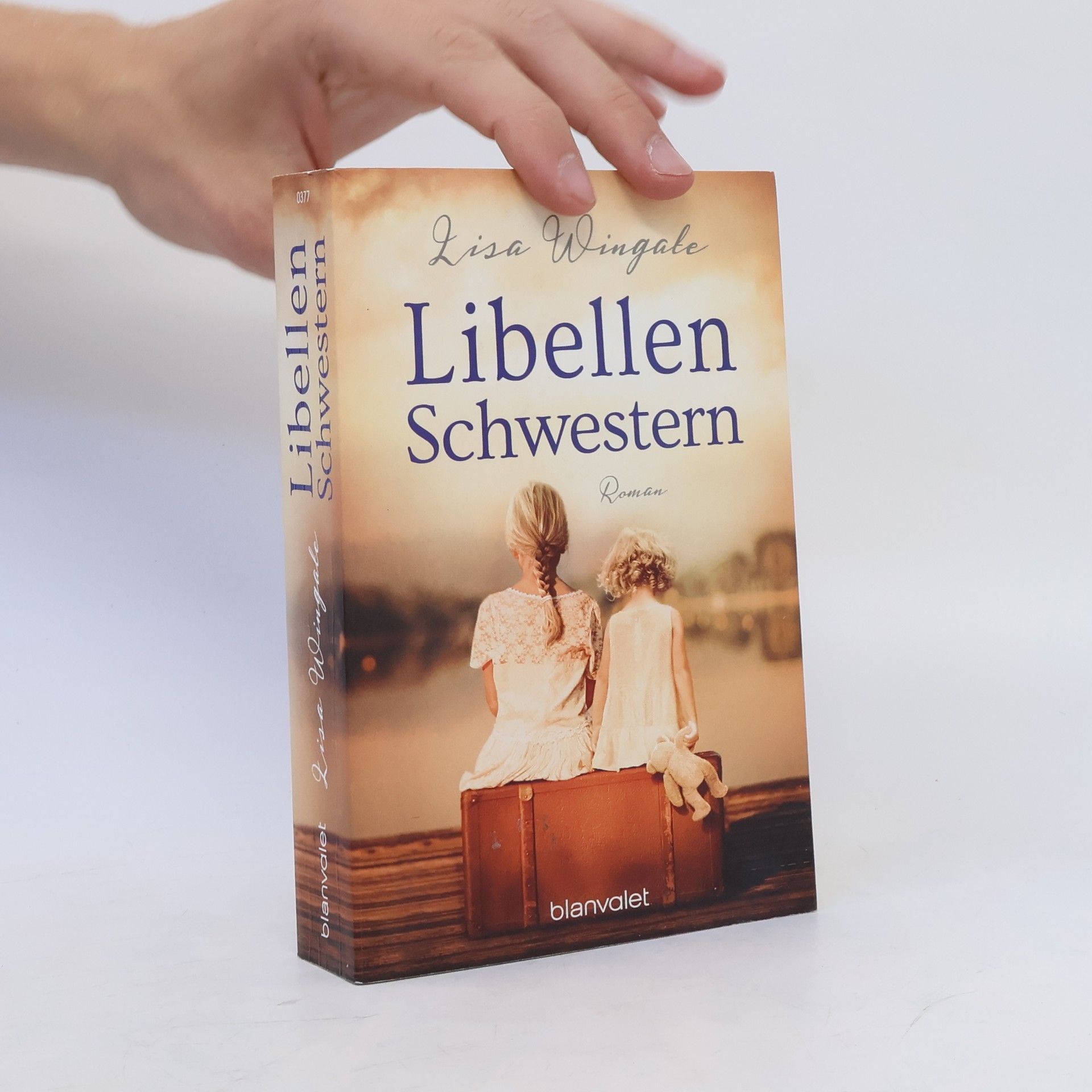 Lisa Wingate Libellenschwestern