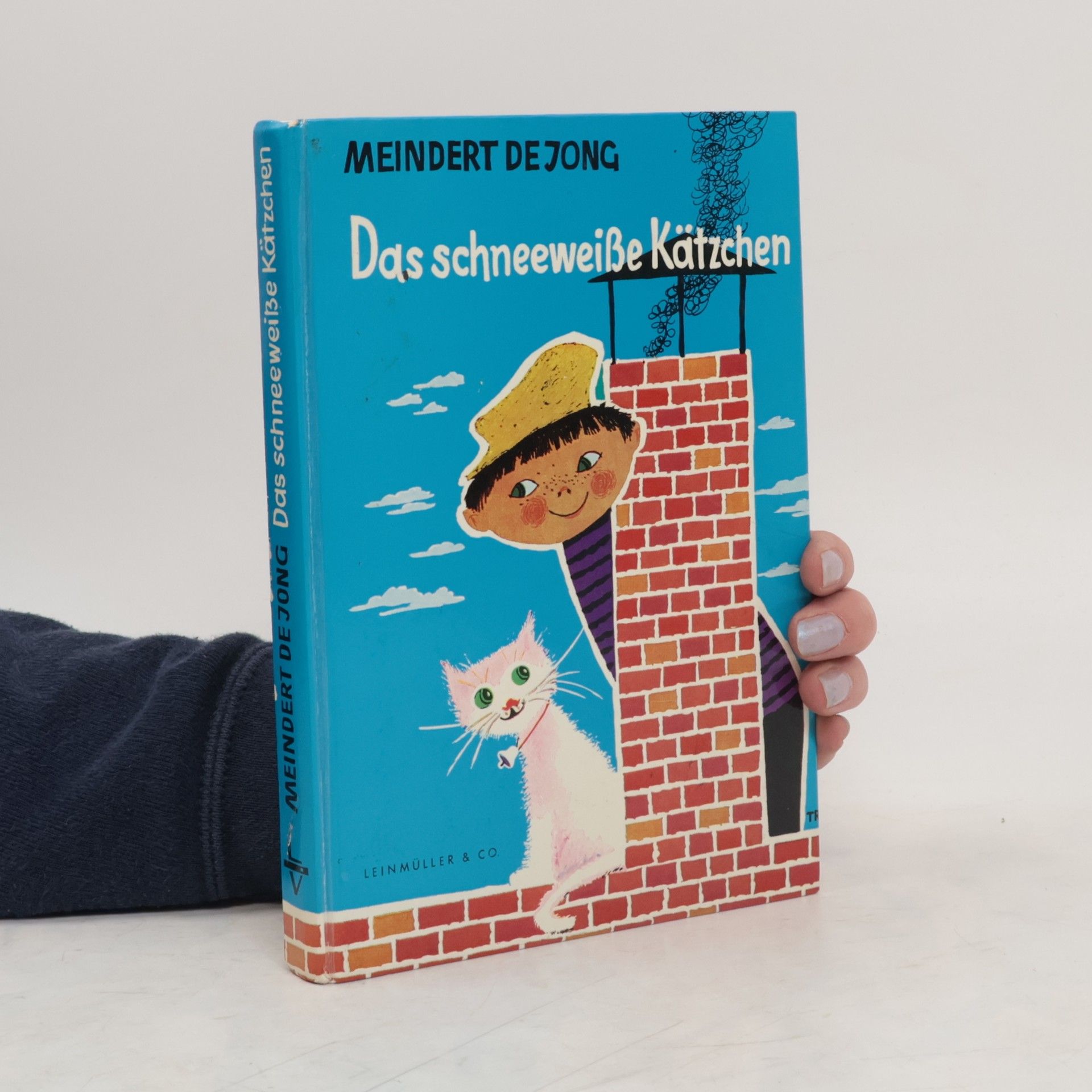 Das schneeweiße Kätzchen