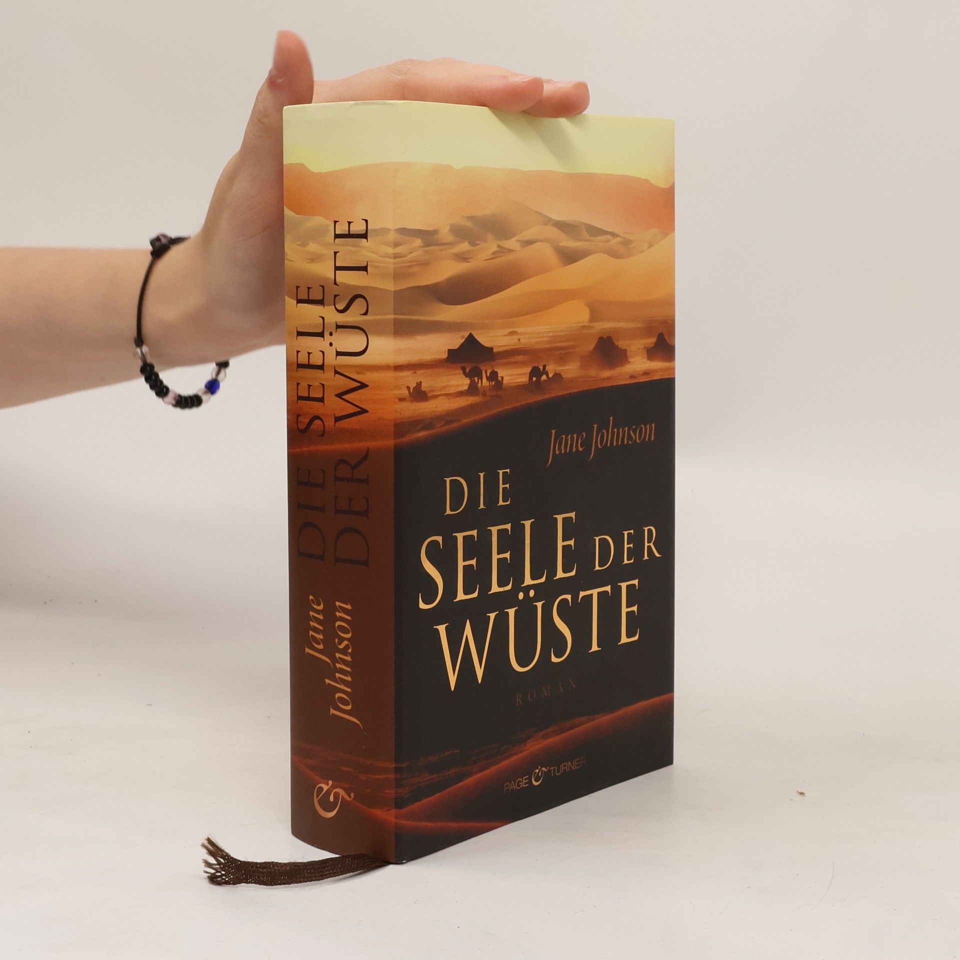 Jude Fisher Die Seele der Wüste