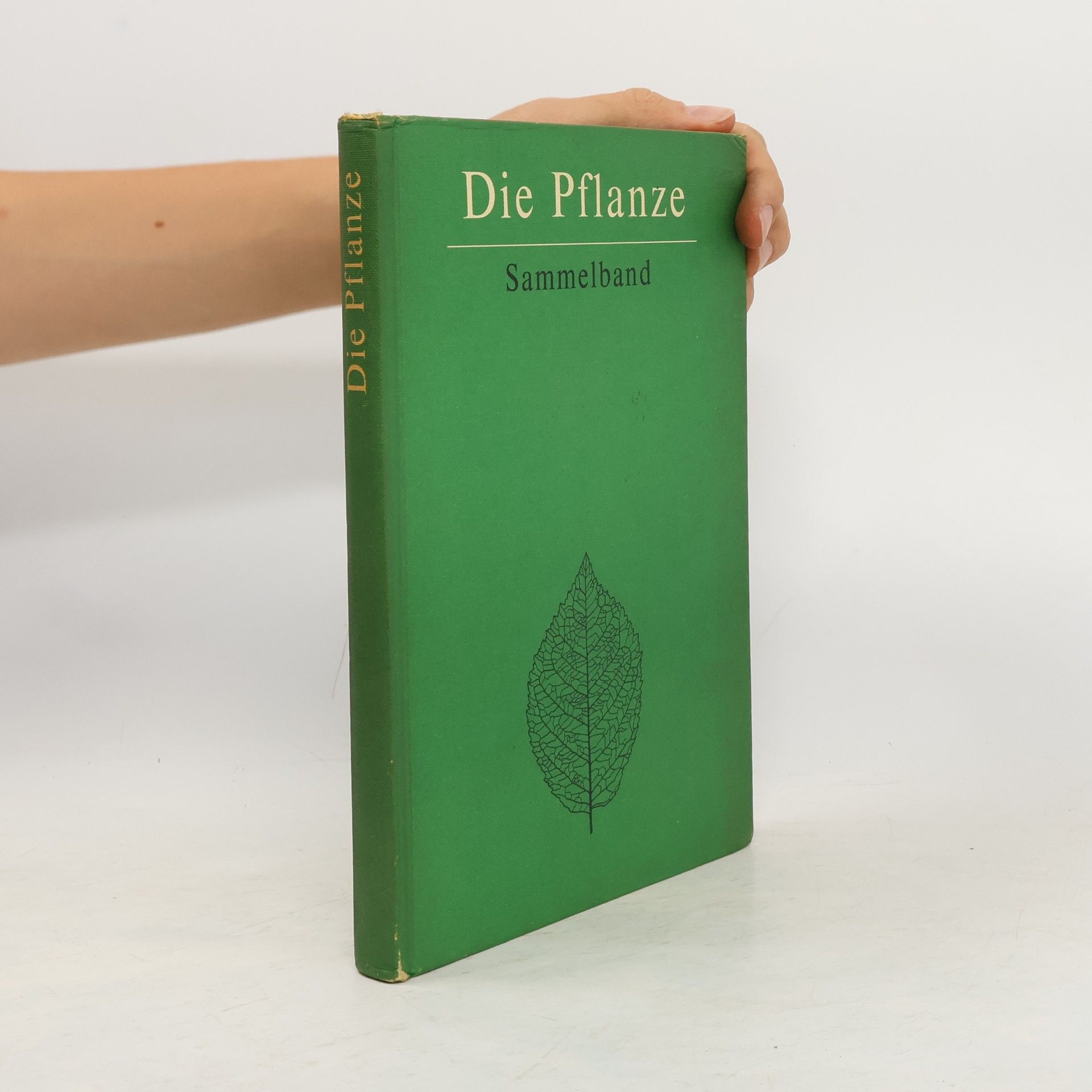 Helmut Lange Die Pflanze