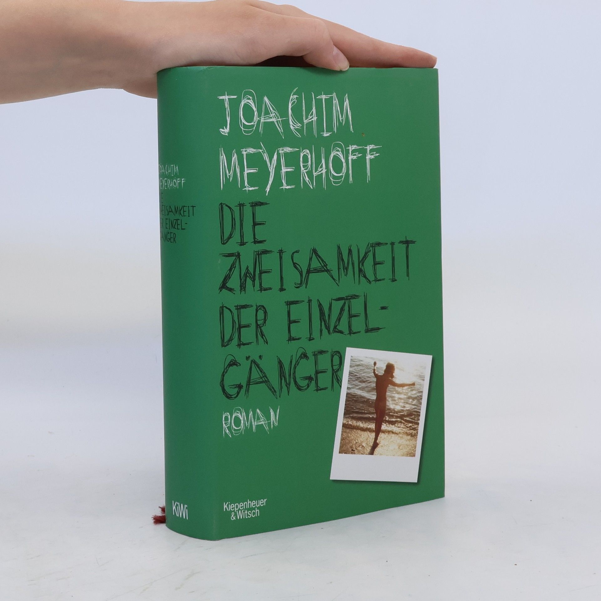 Joachim Meyerhoff Die Zweisamkeit der Einzelgänger
