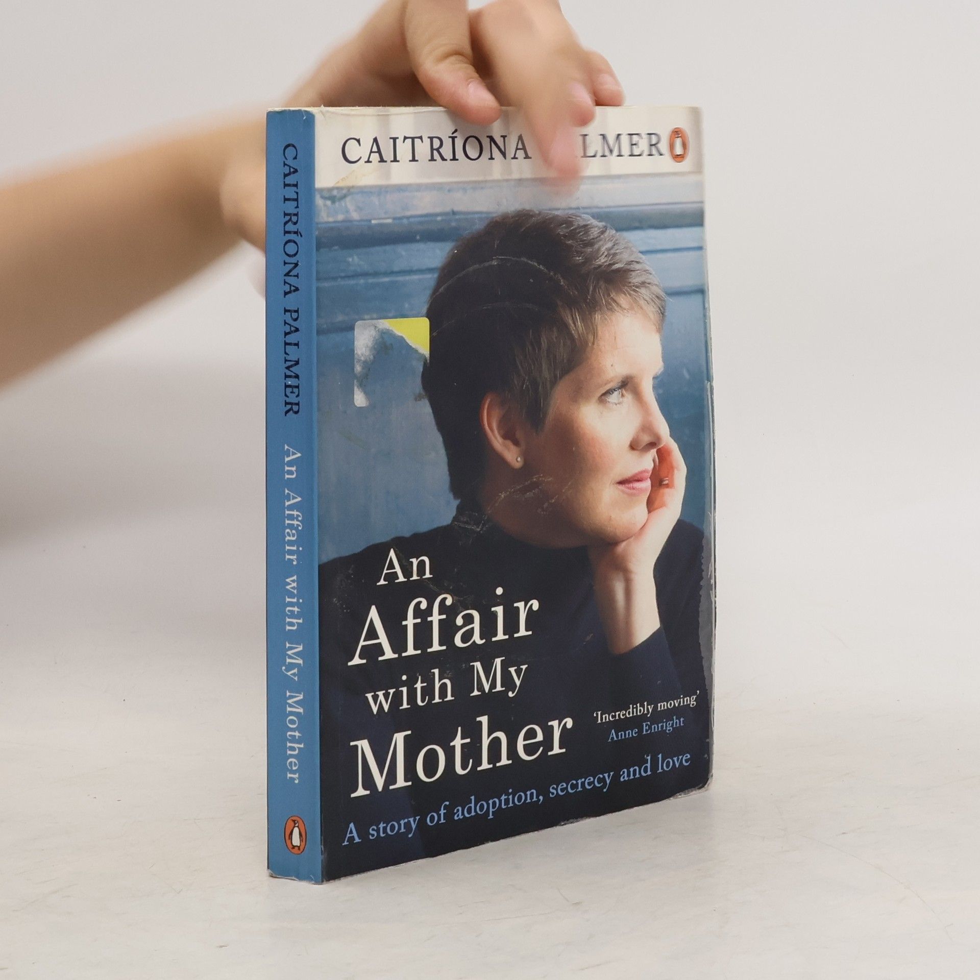 Caitriona Palmer An Affair with My Mother