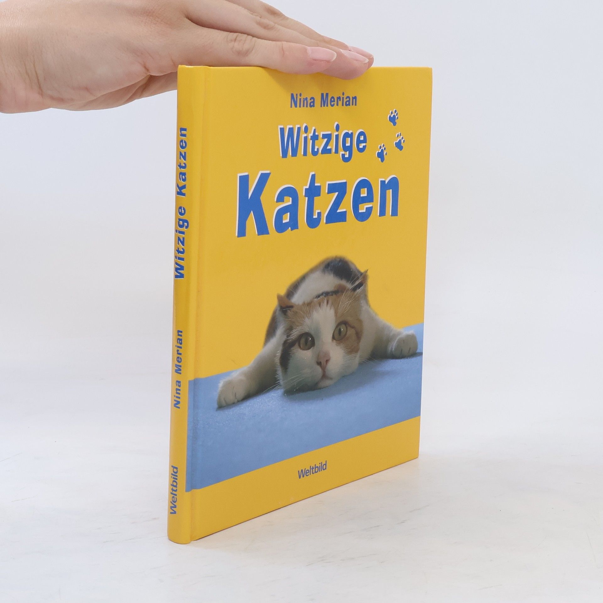Nina Merian Witzige Katzen