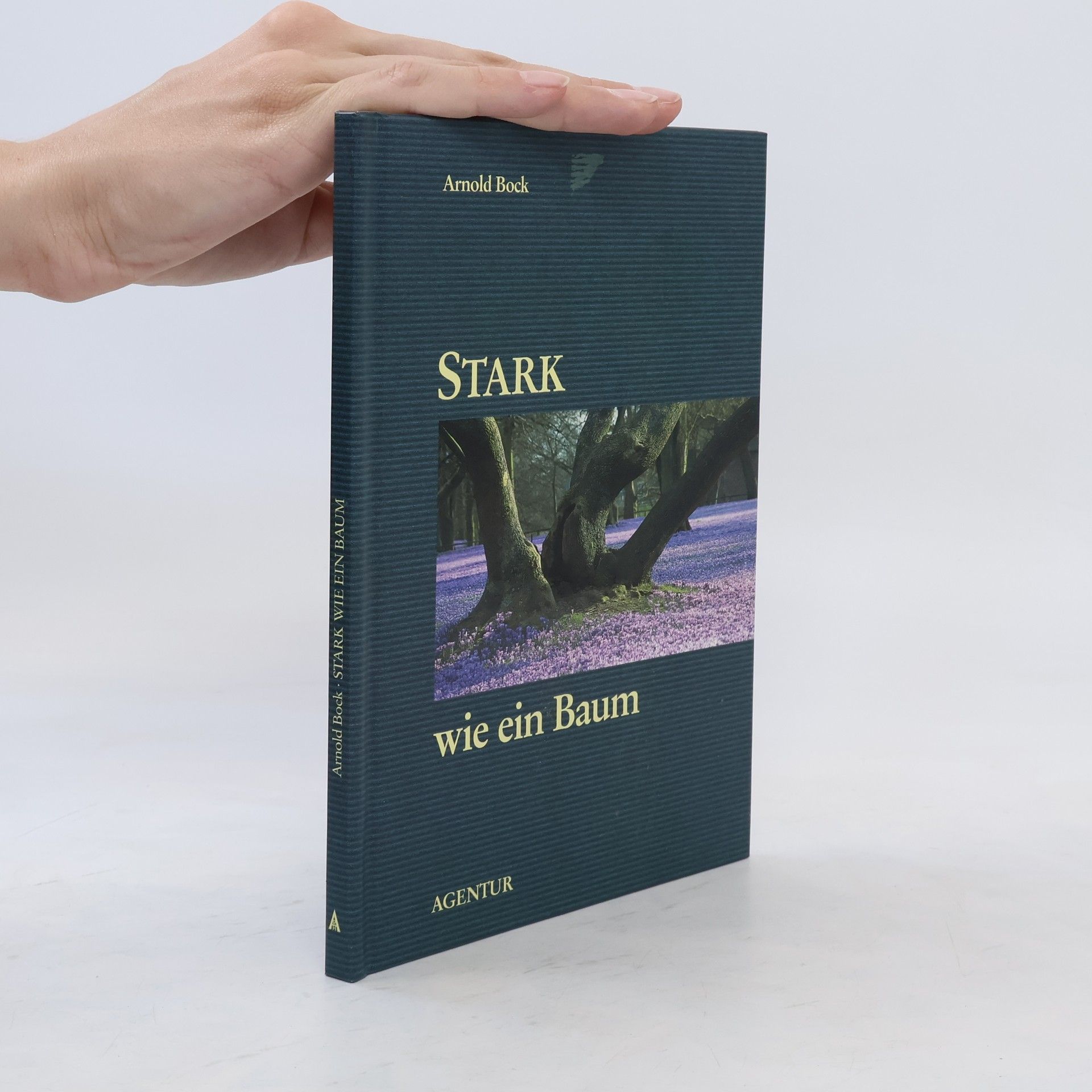 Arnold Bock Stark wie ein Baum