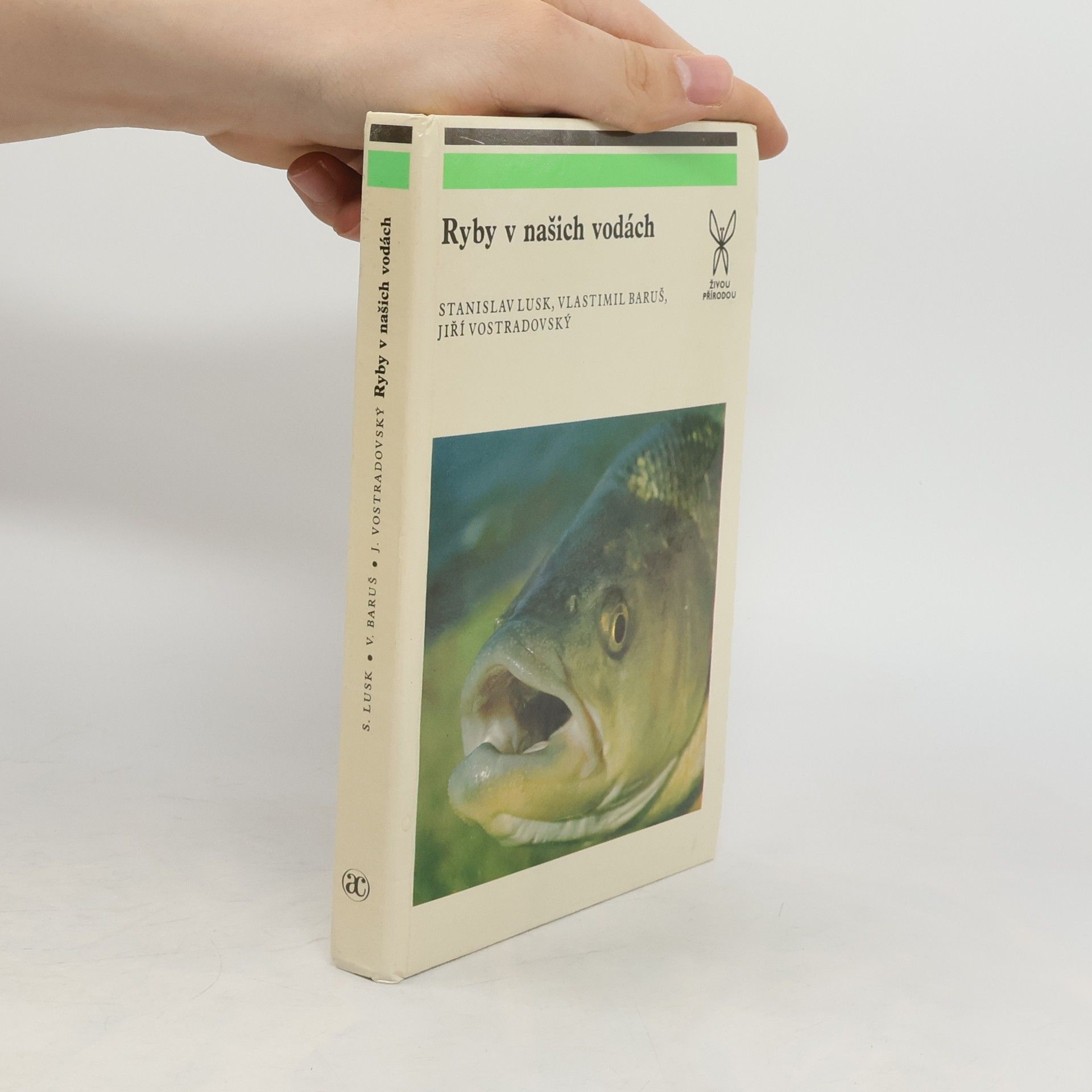 Autorenkollektiv Ryby v našich vodách
