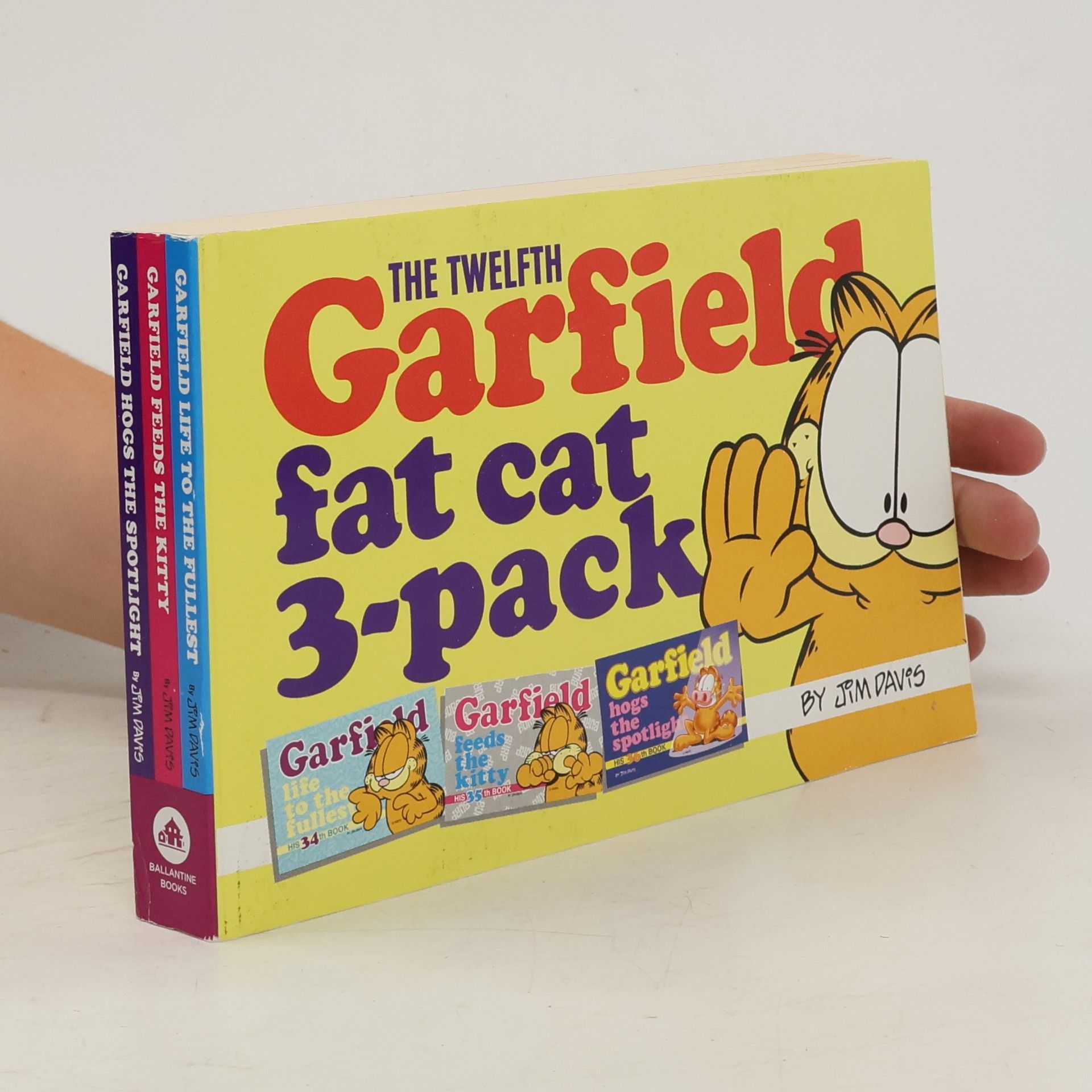 Jim Davis The Twelfth Garfield Fat Cat 3-Pack