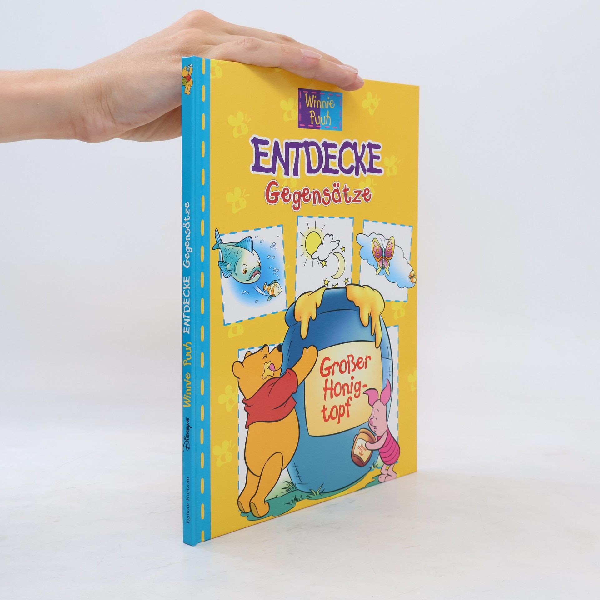 Collectif d'auteurs Entdecke Gegensätze